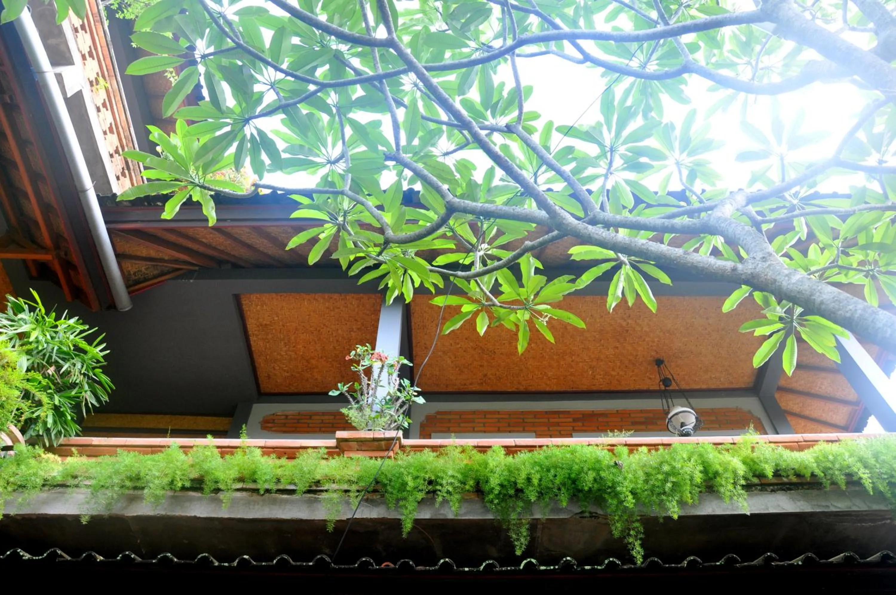 View (from property/room) in Candra Asri Bungalow! Free Early Check In!