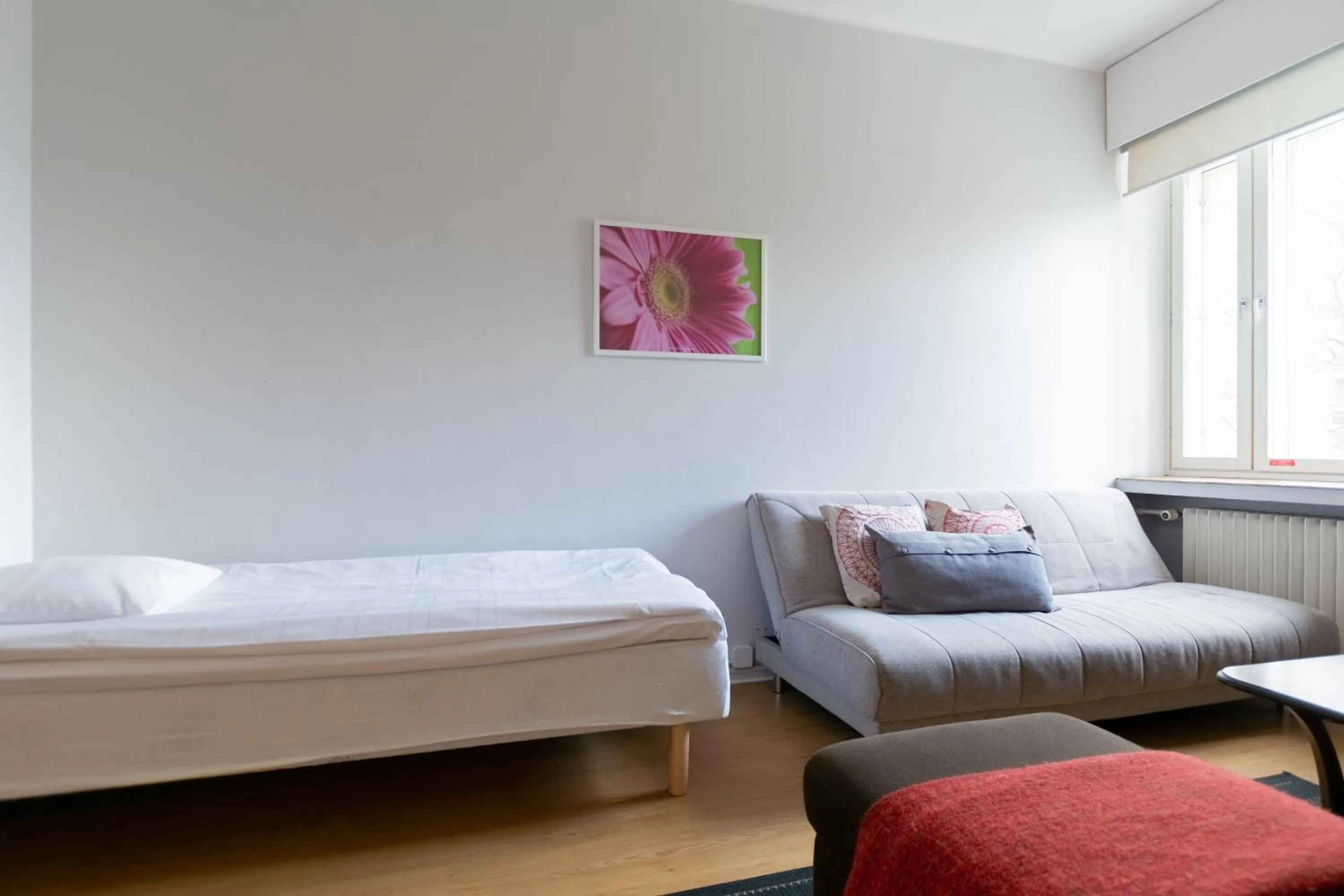 Photo of the whole room in Hostel Buisto