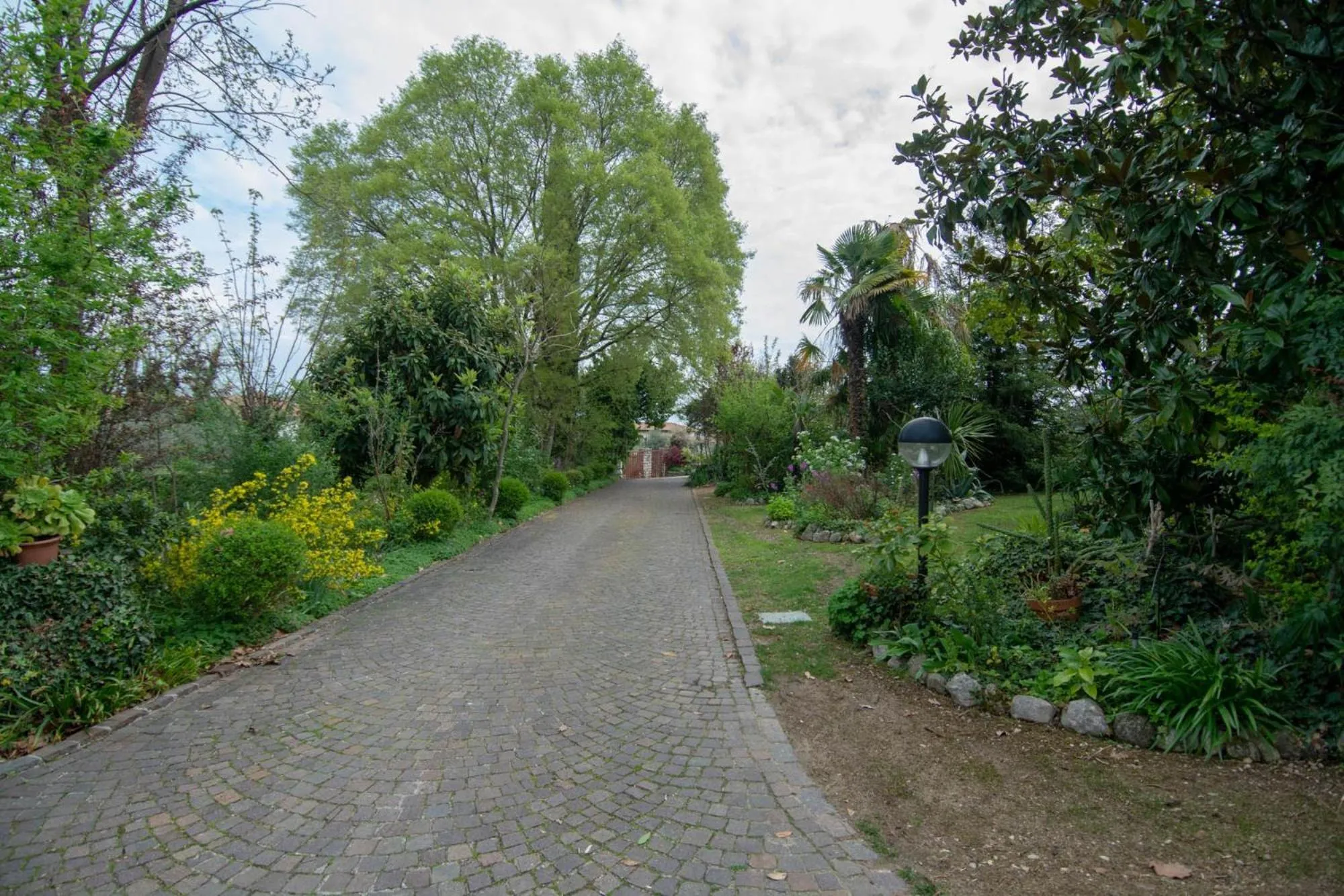 El Rincon del Artista