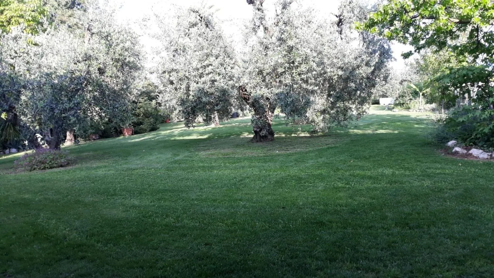 Garden in El Rincon del Artista