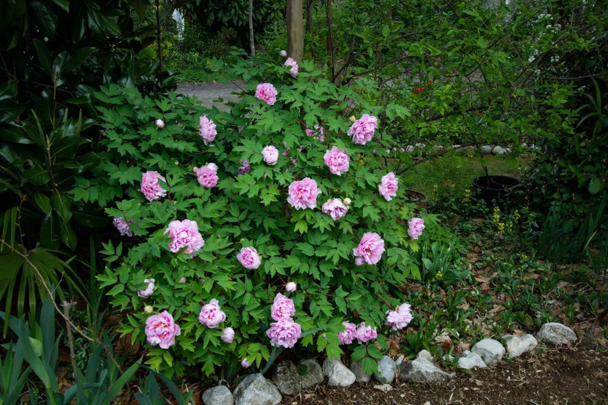 El Rincon del Artista