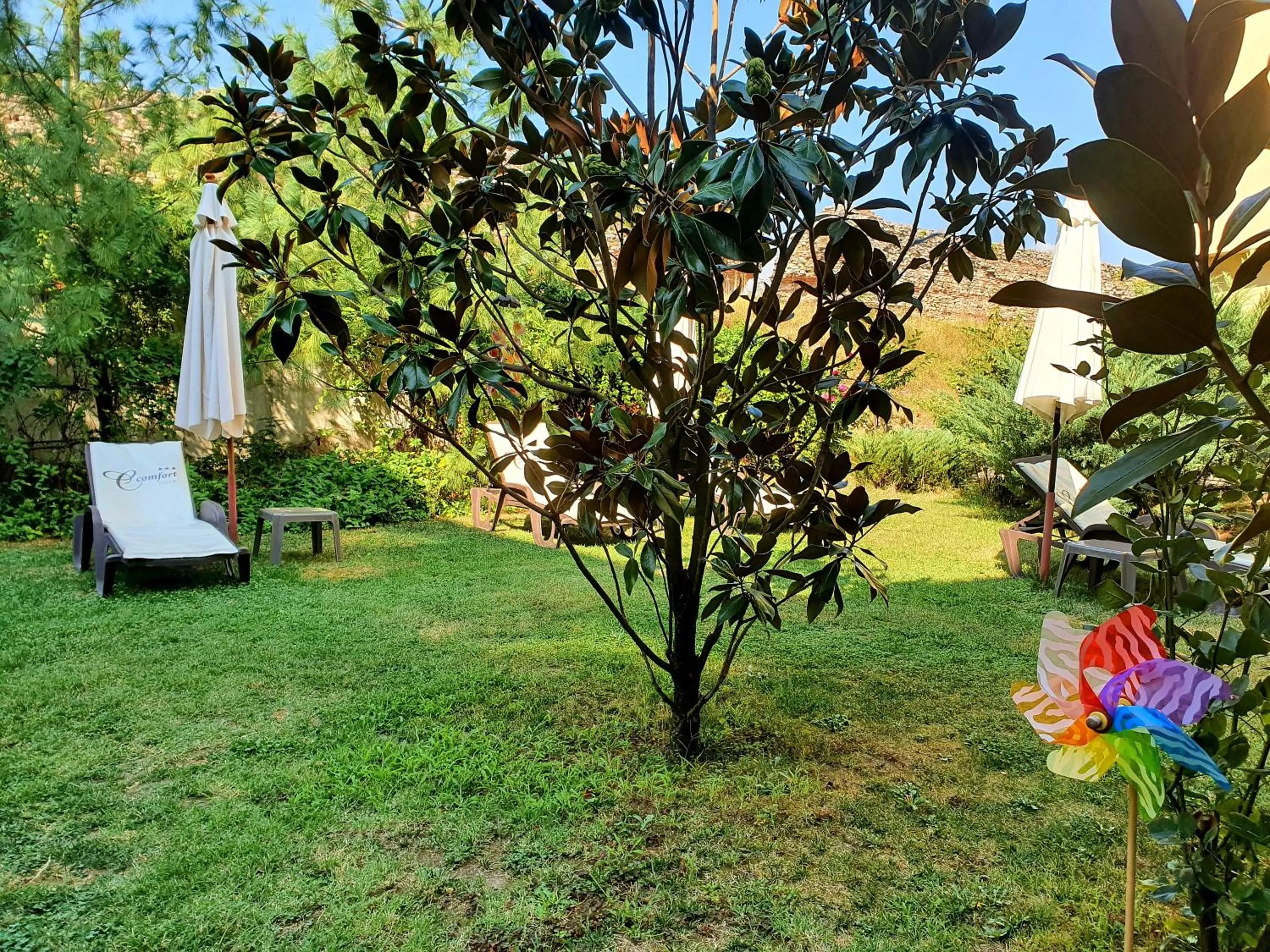 Day in C Comfort Hotel & Wellness