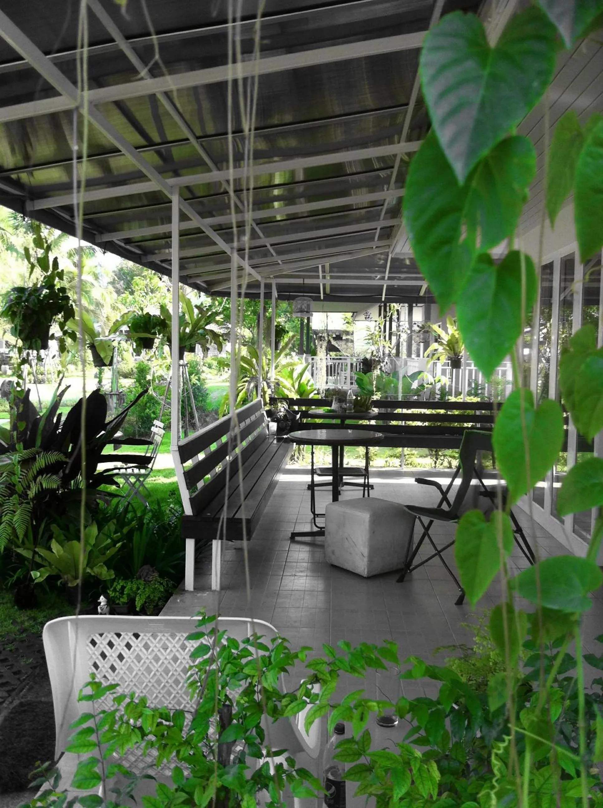 Restaurant/places to eat in Khao Yai Cottage