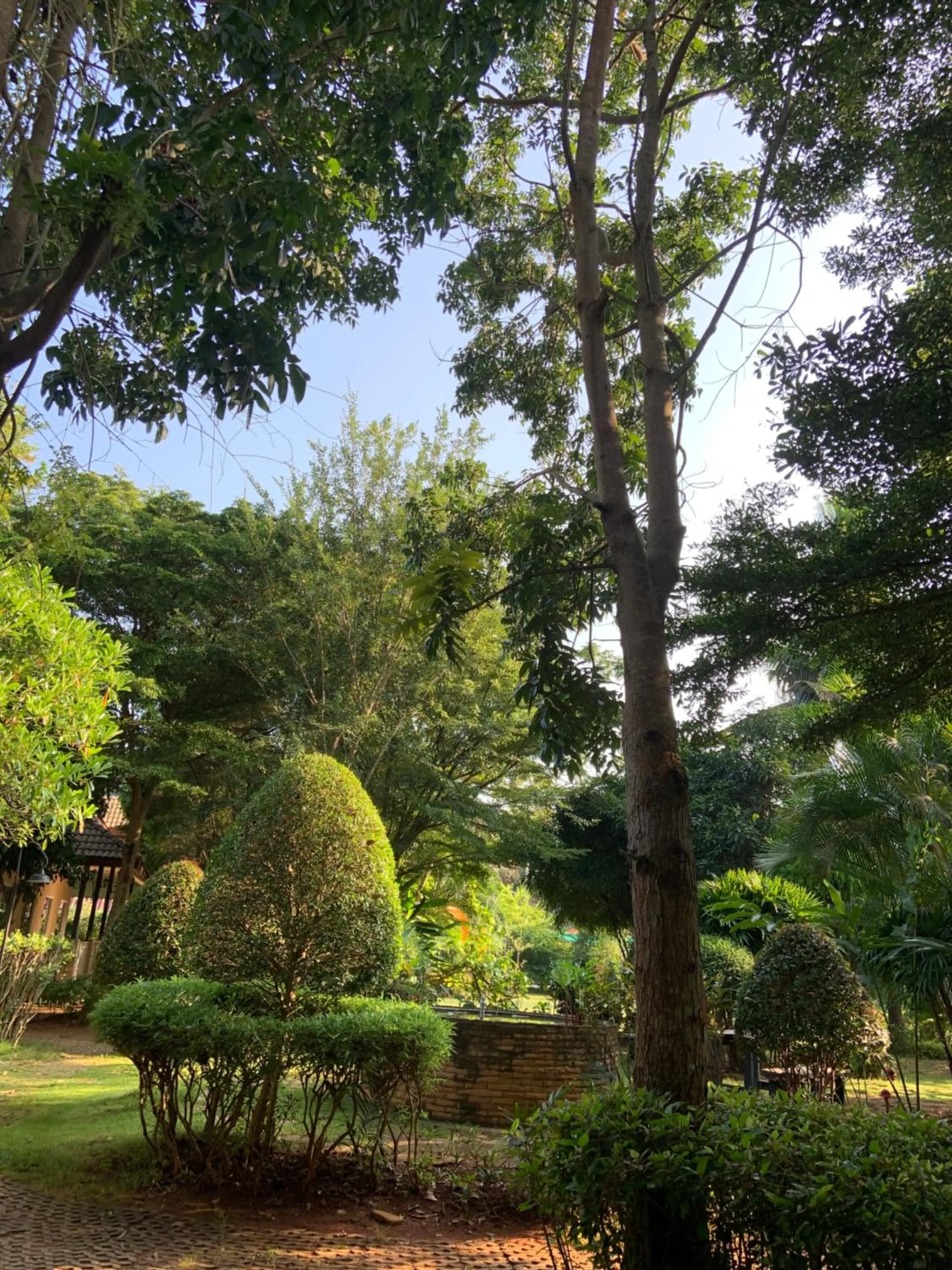 Khao Yai Cottage