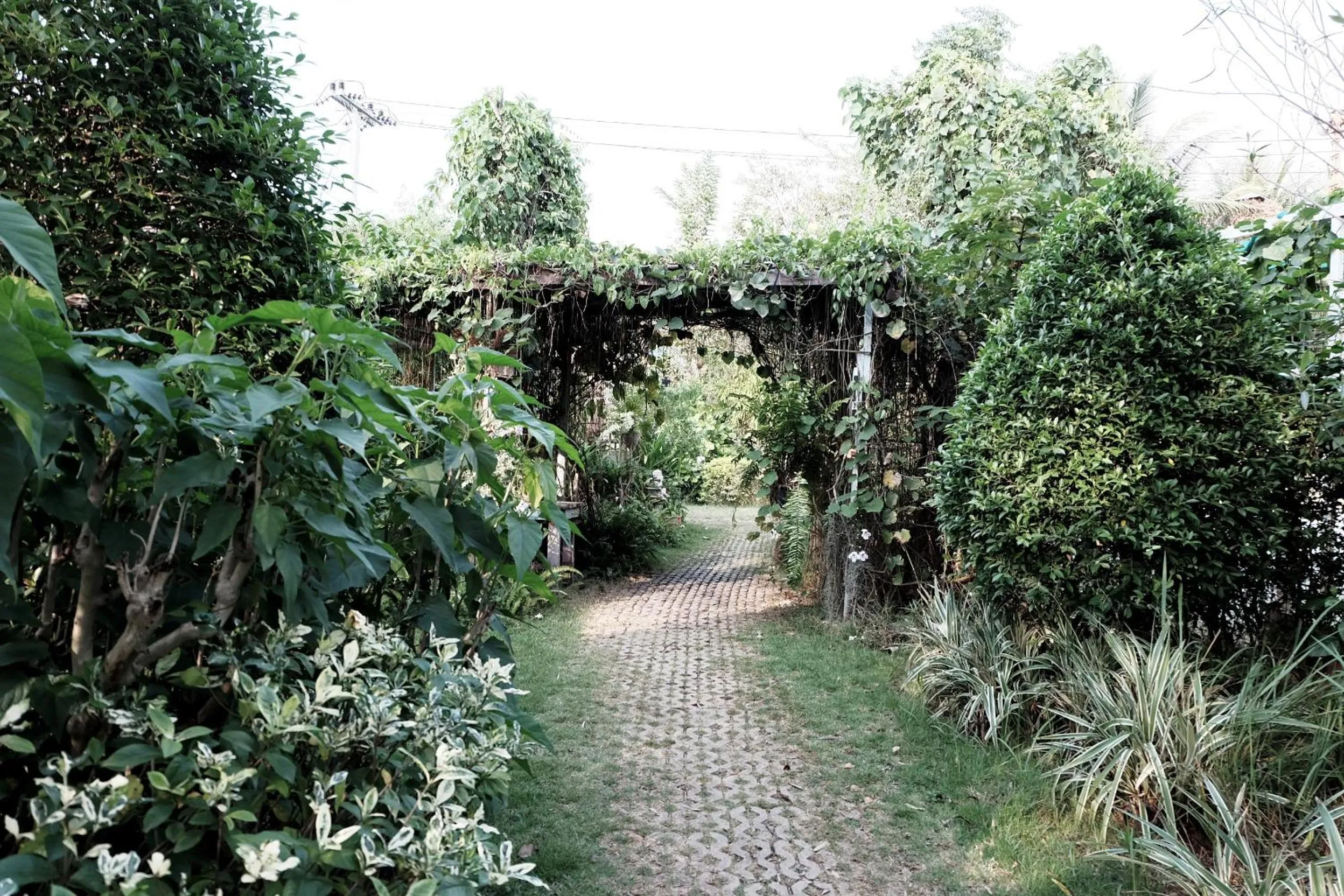 Facade/entrance in Khao Yai Cottage