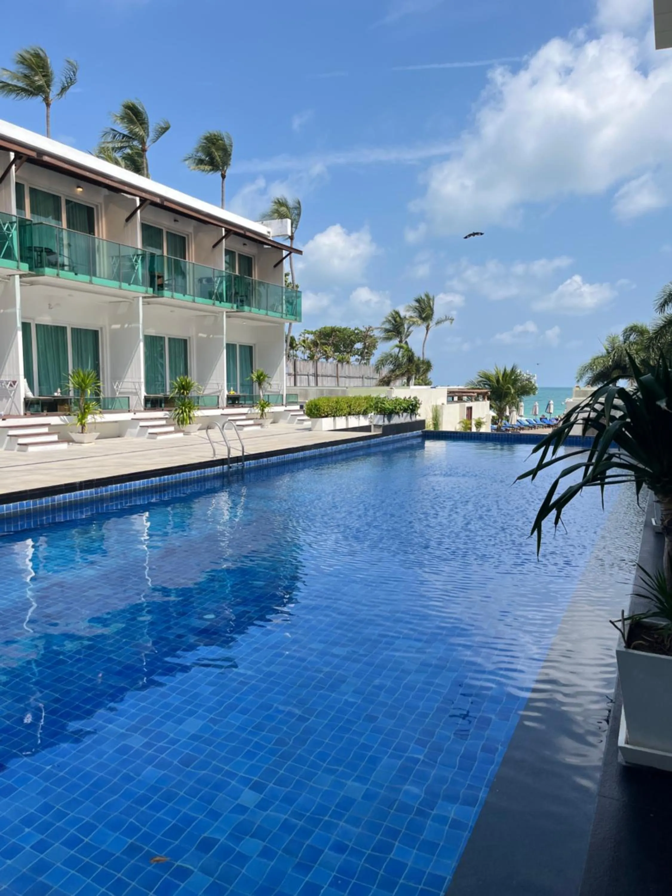 Swimming pool in KC Beach Club & Pool Villas