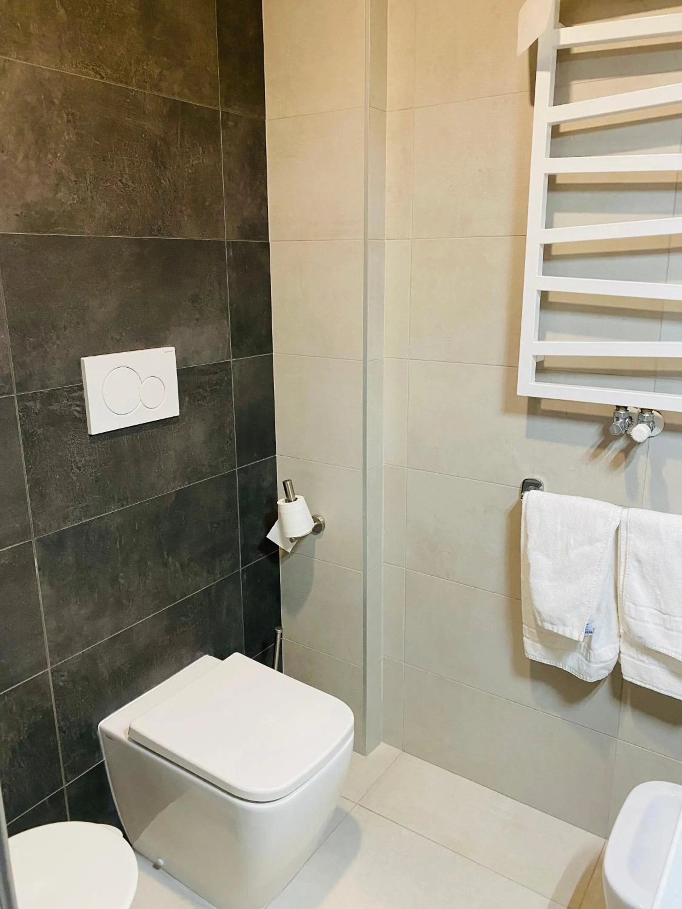 Toilet in Hotel Master