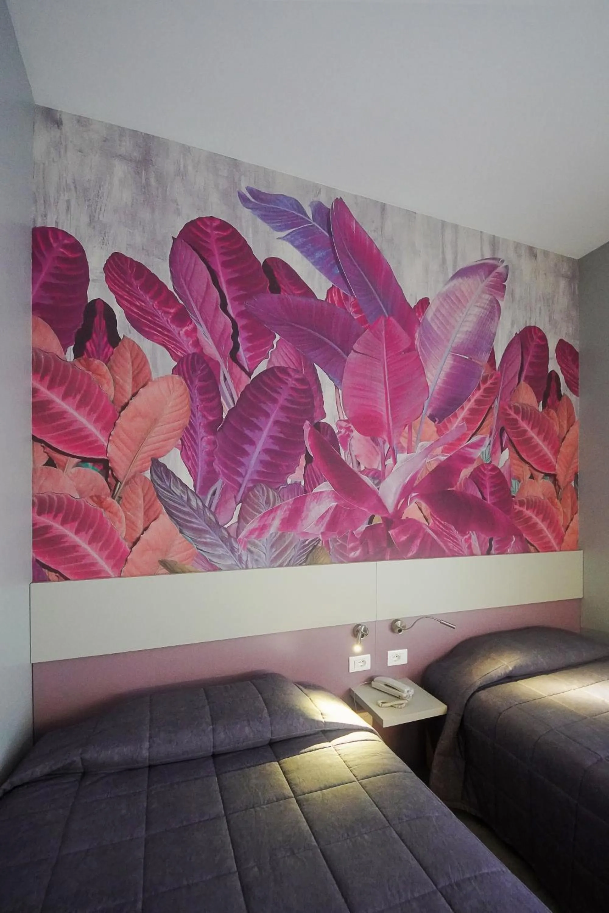 Photo of the whole room in Hotel Master