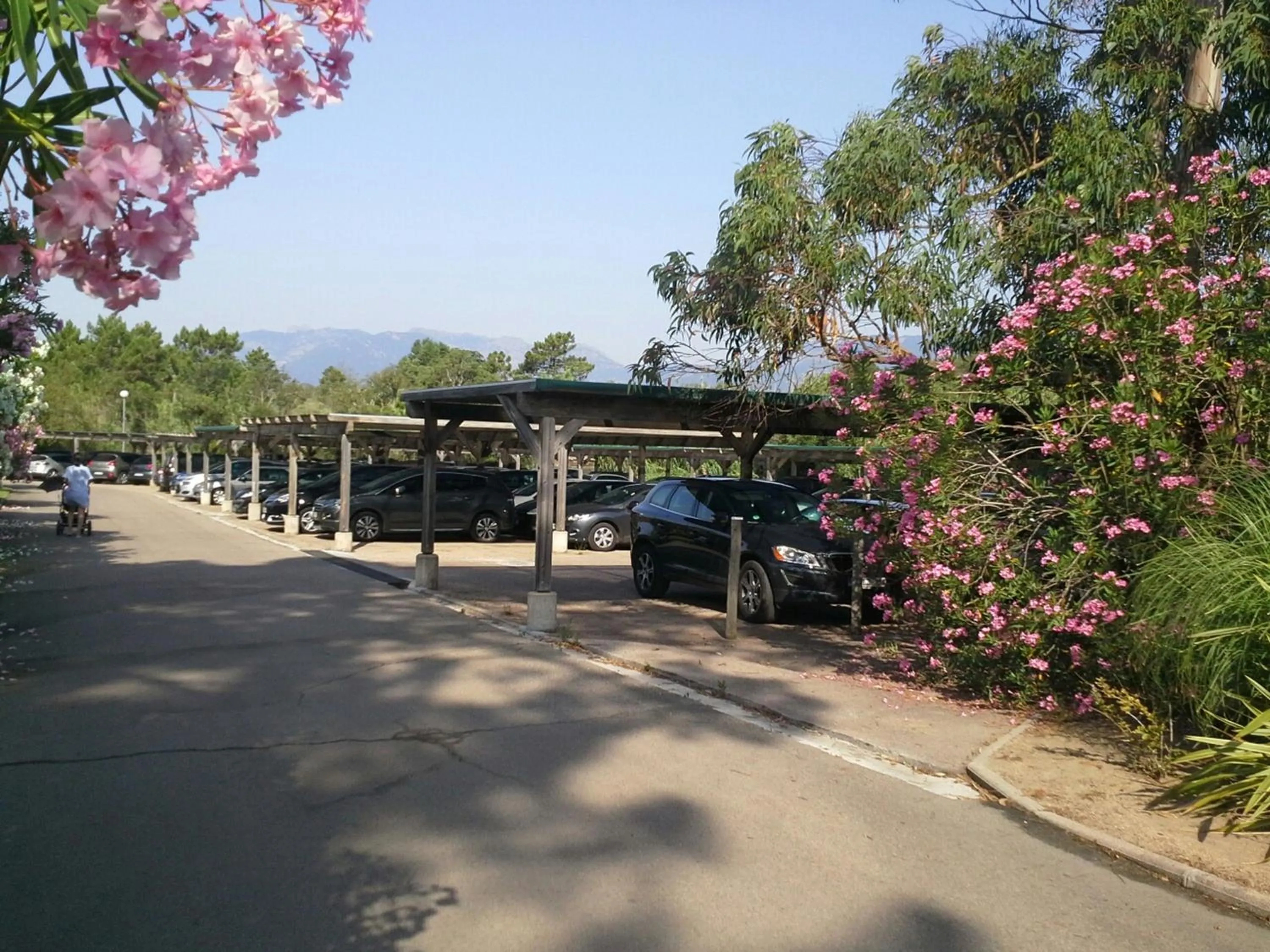 Other in Hôtel Marina Corsica