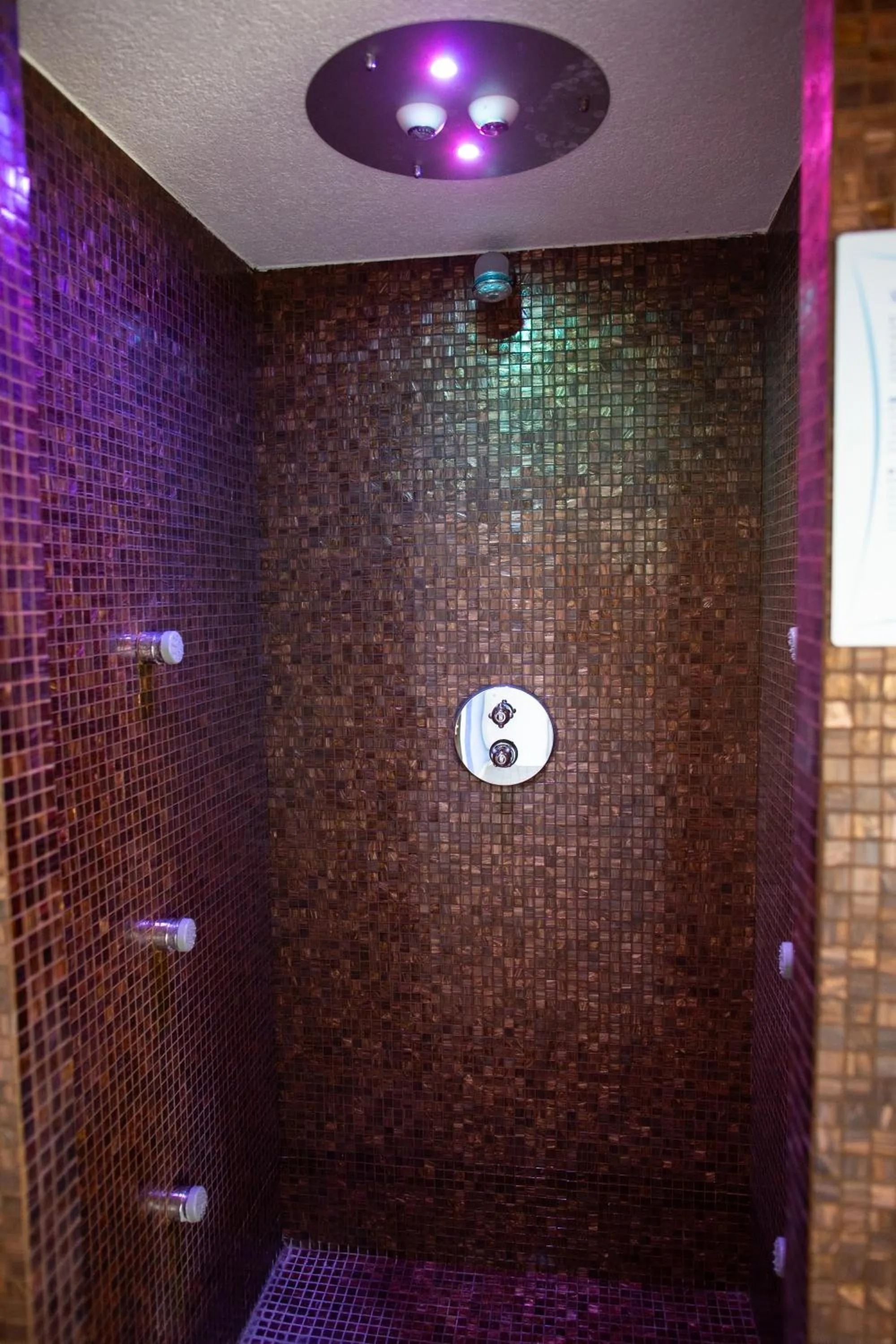 Spa and wellness centre/facilities in La Dimora del Baco Hotel