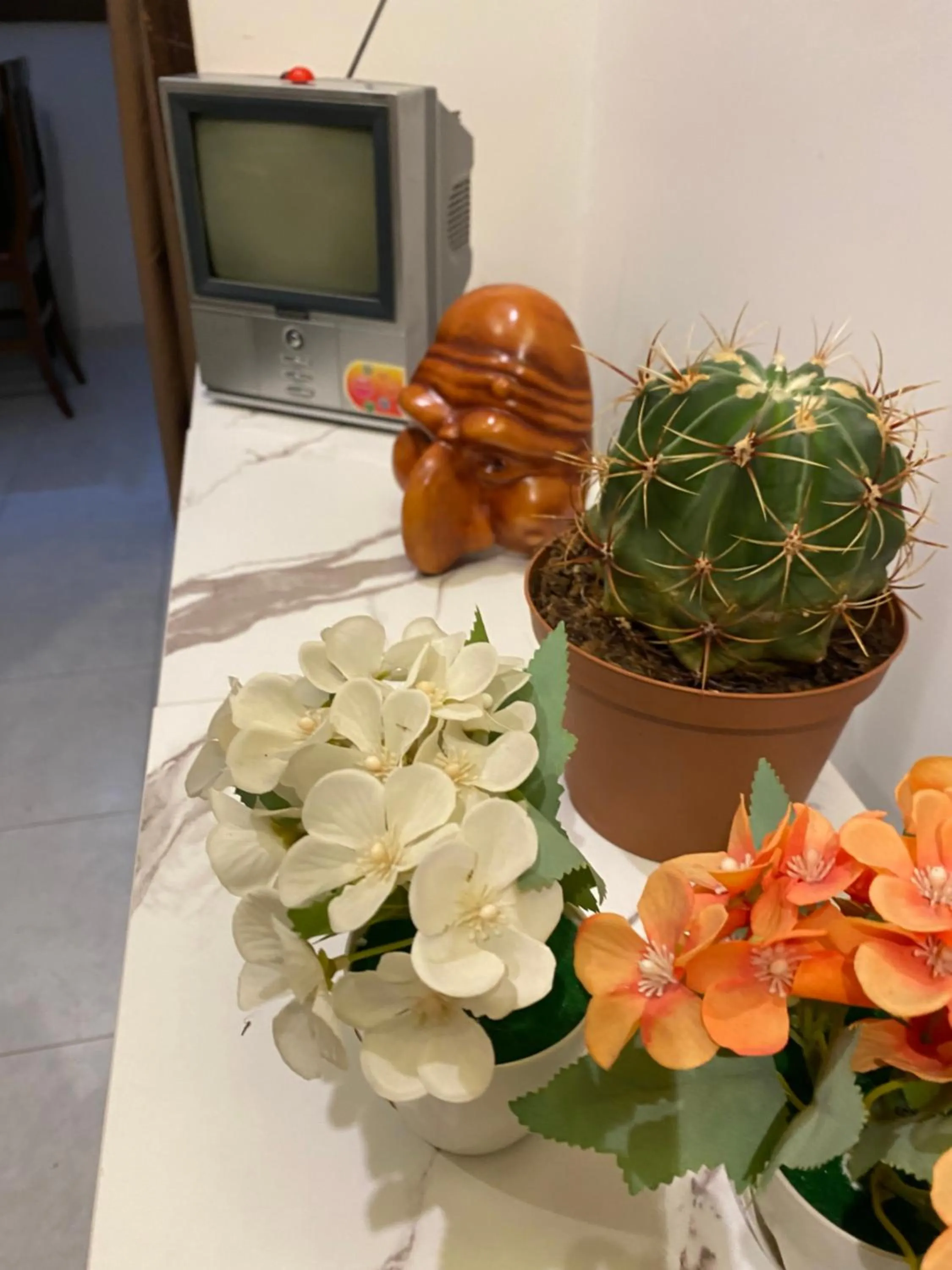 furniture in Bed & Breakfast Plebiscito Home