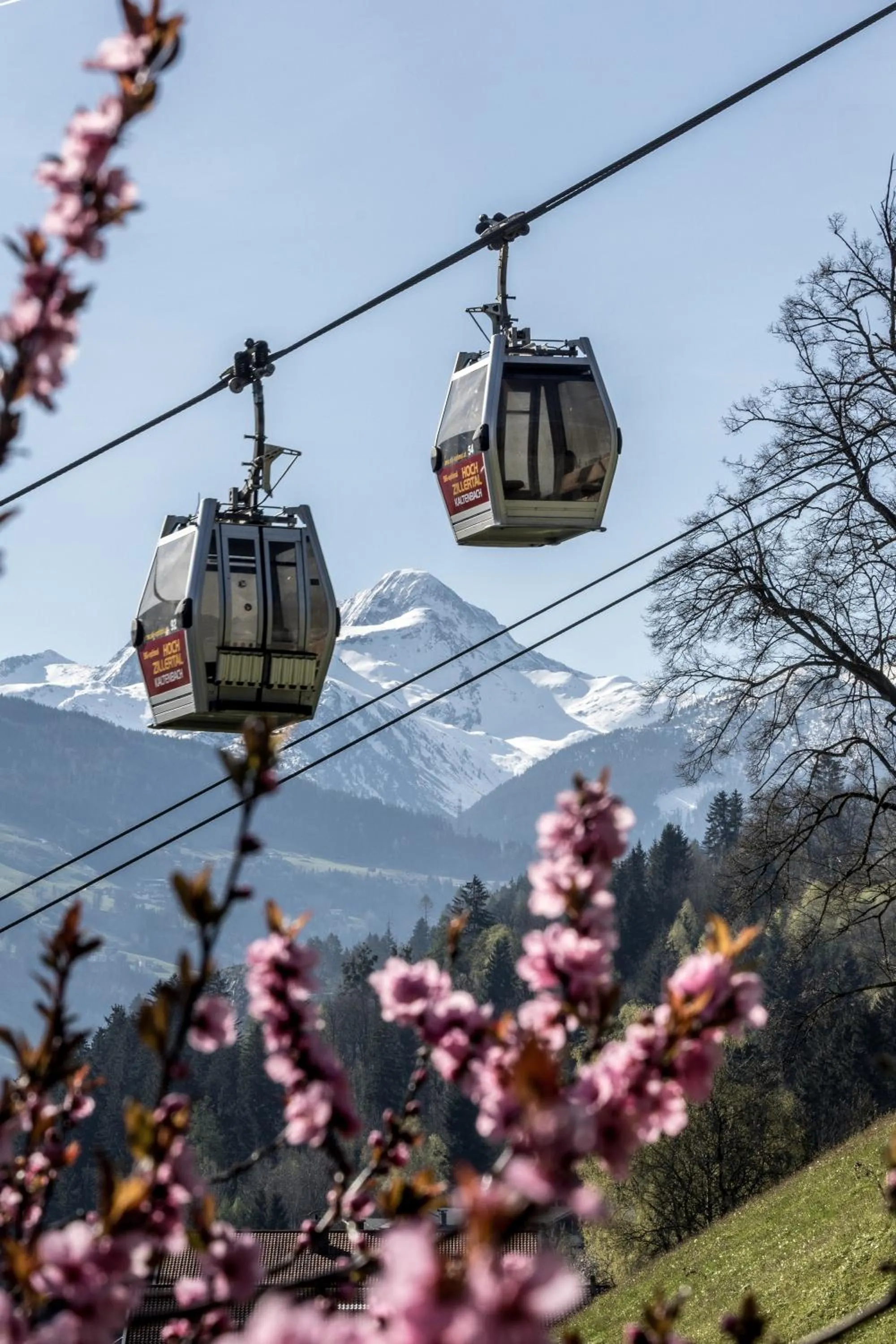 Skiing in Alpin Family Resort Seetal
