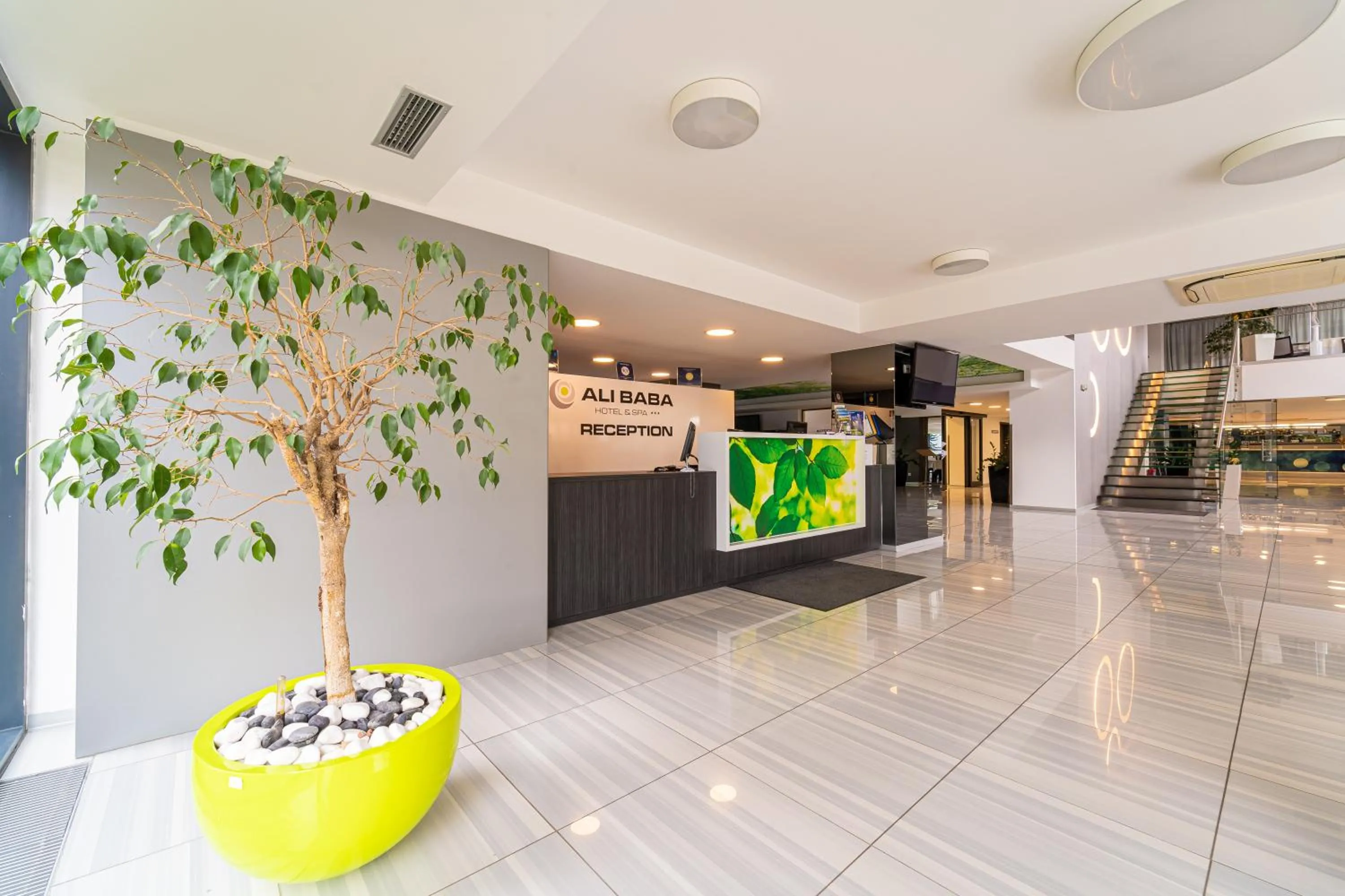 Day in Hotel Alibaba