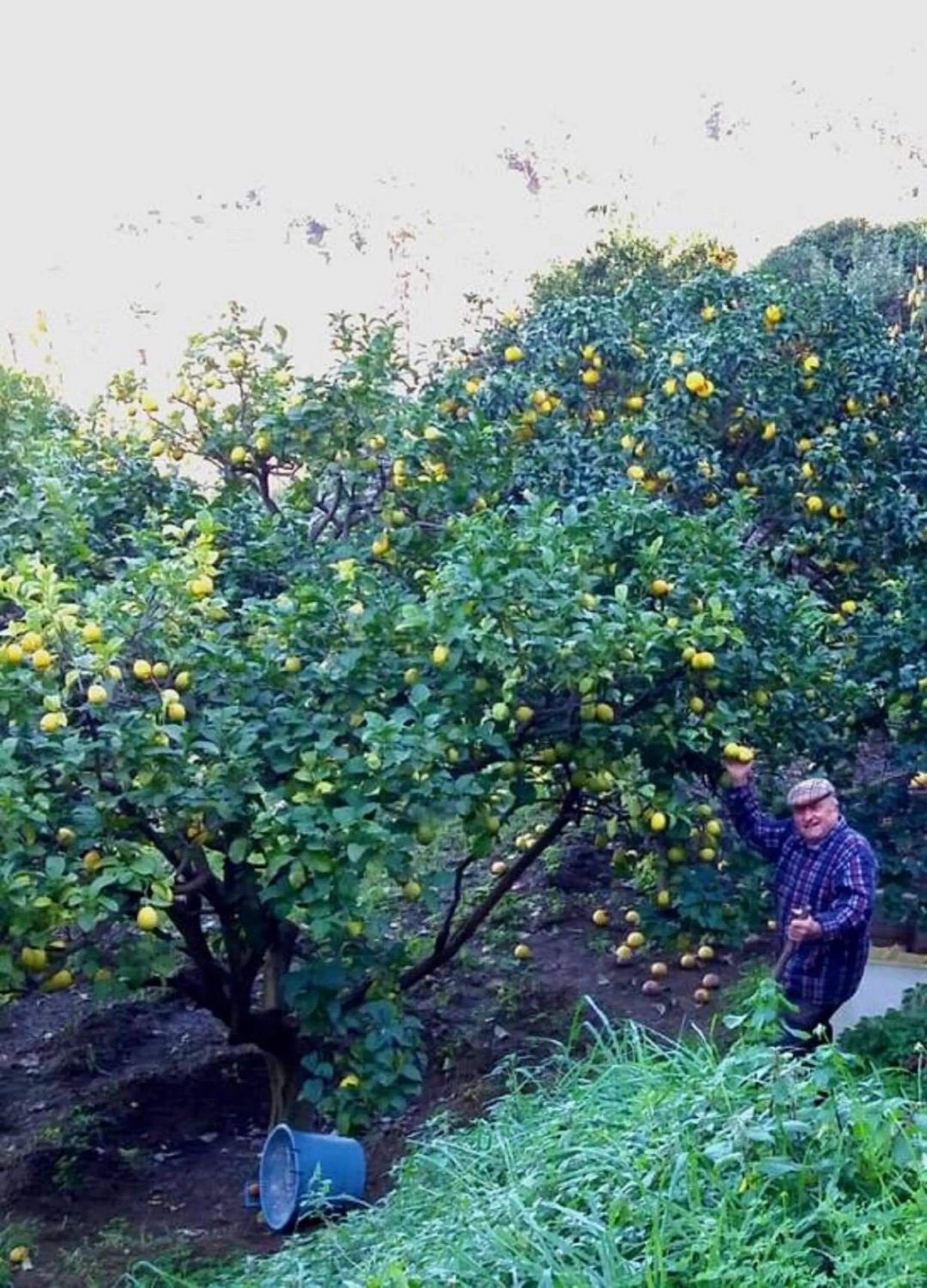 On site in Hotel la Maggioressa