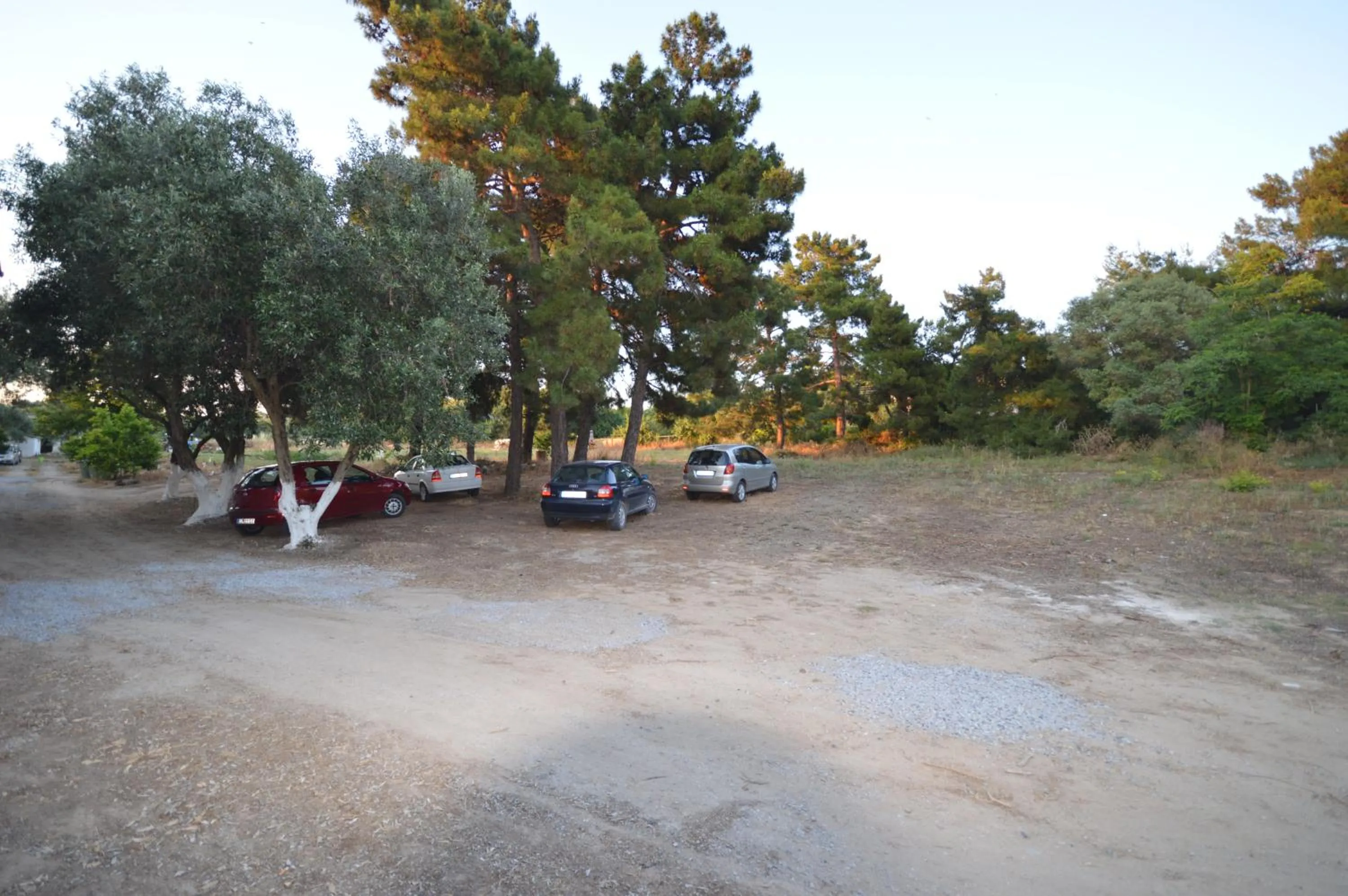 Area and facilities in Hotel Paraktio