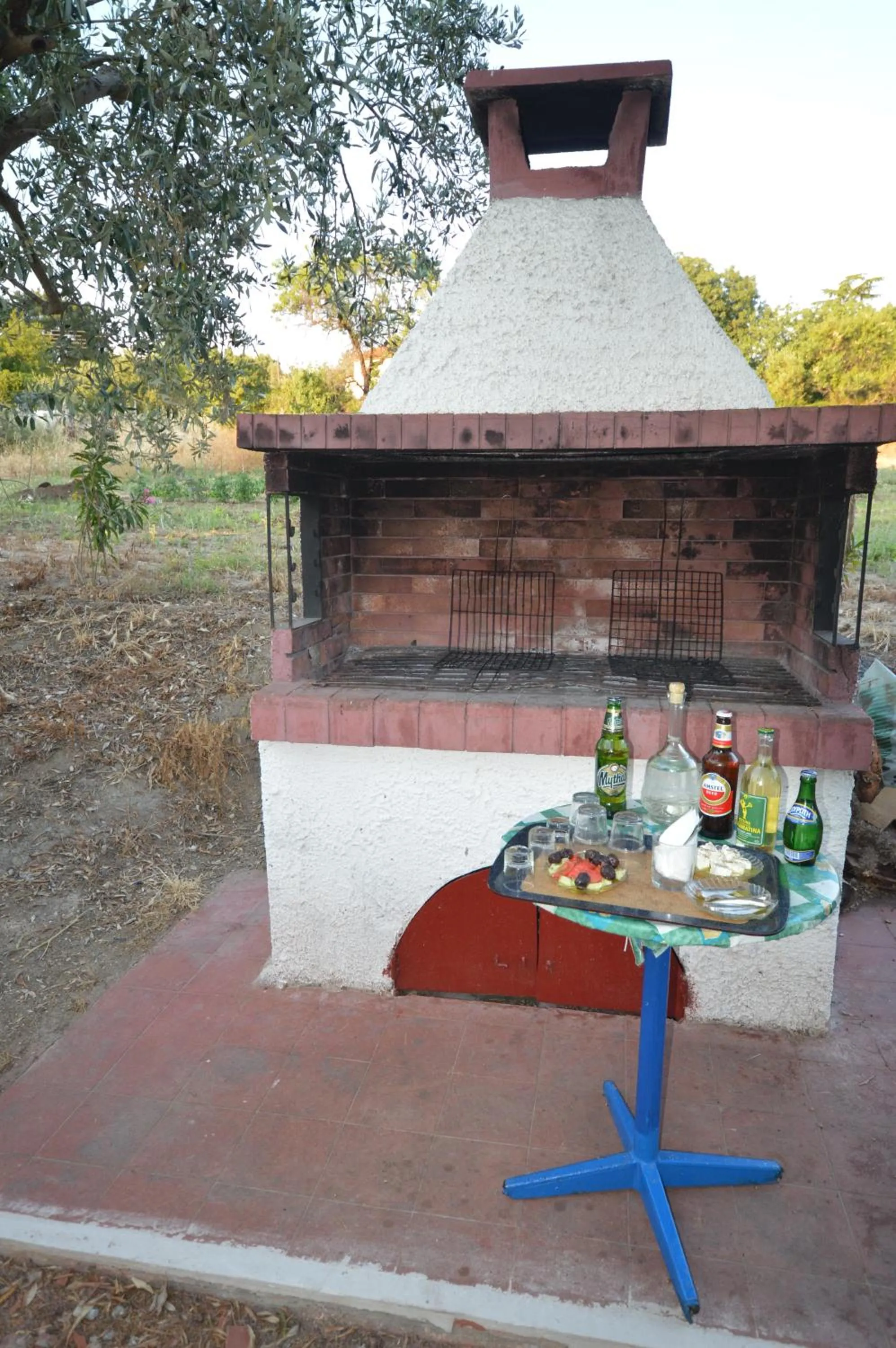 BBQ facilities in Hotel Paraktio