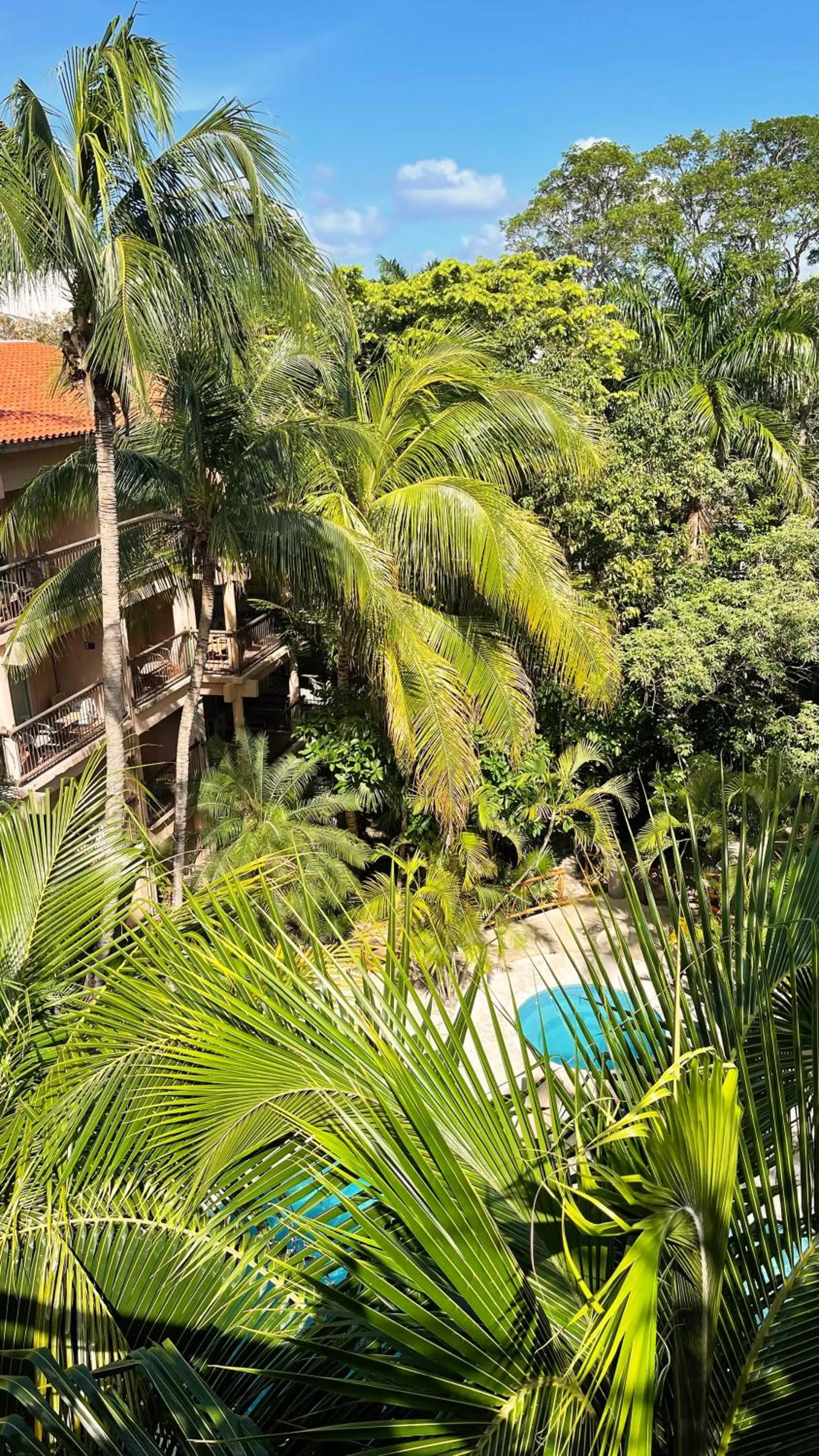 Natural landscape in Tukan Hotel Playa del Carmen