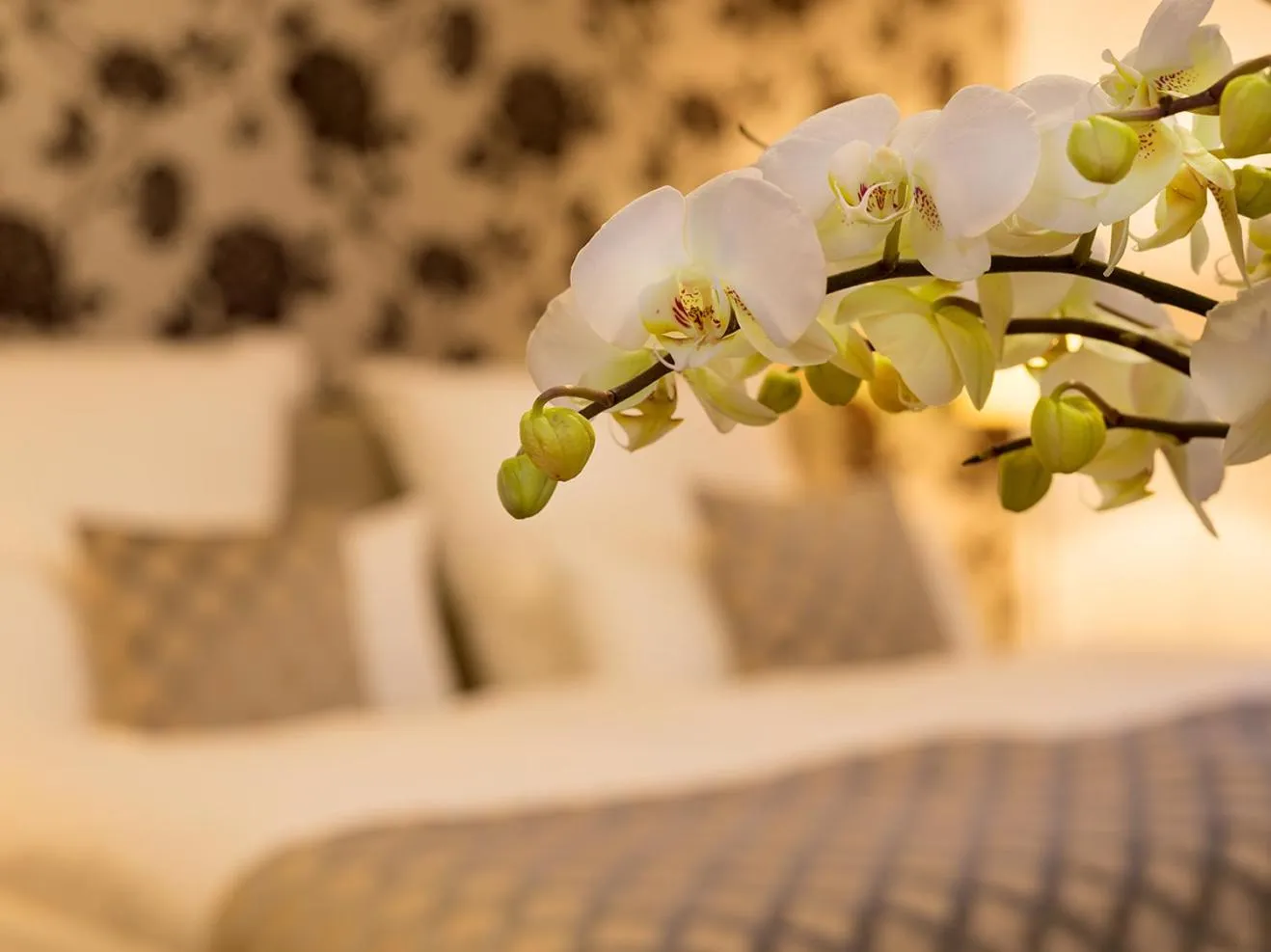 Bed in Boardinghouse Rathsmühle