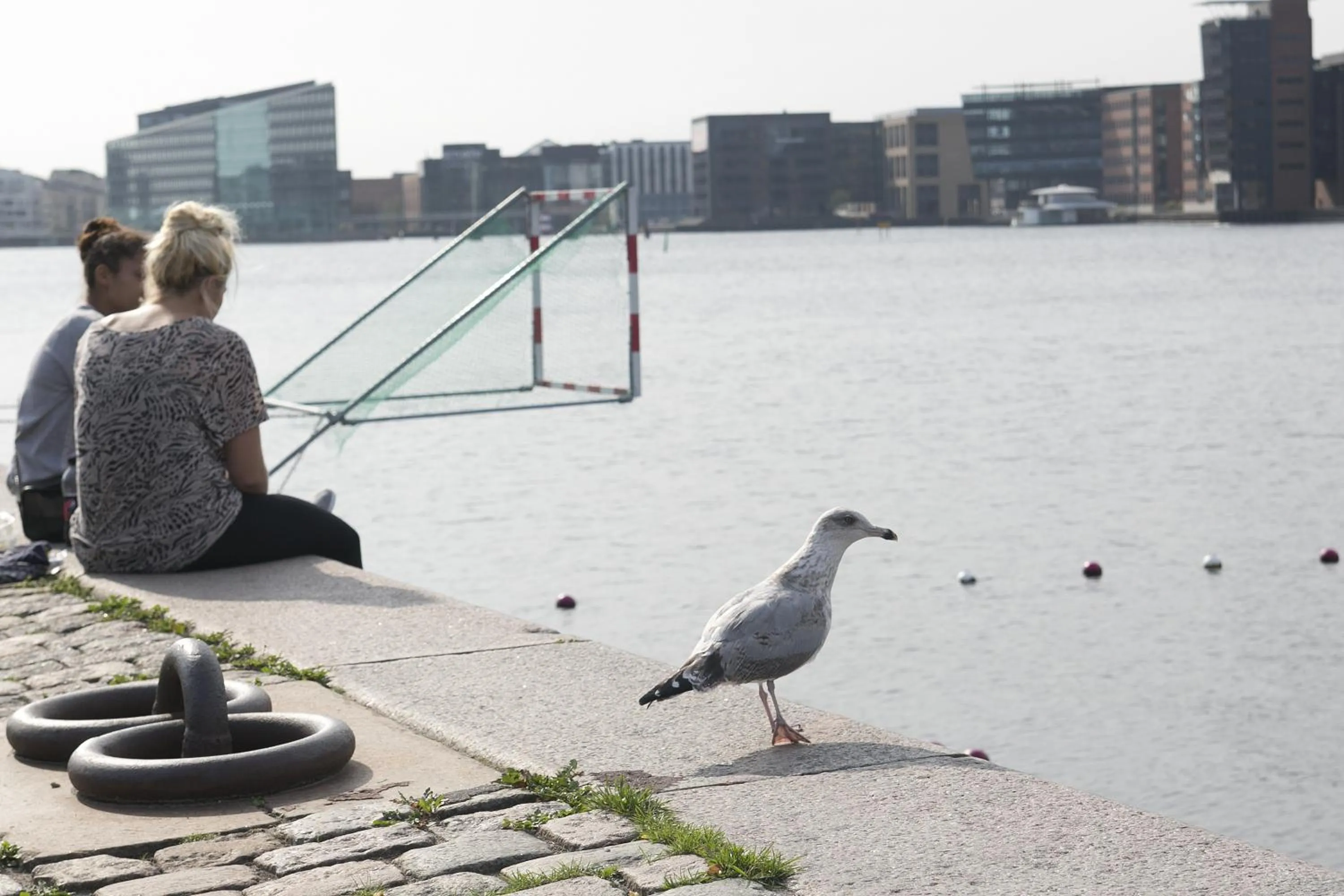 Day in Hotel Copenhagen Apartments