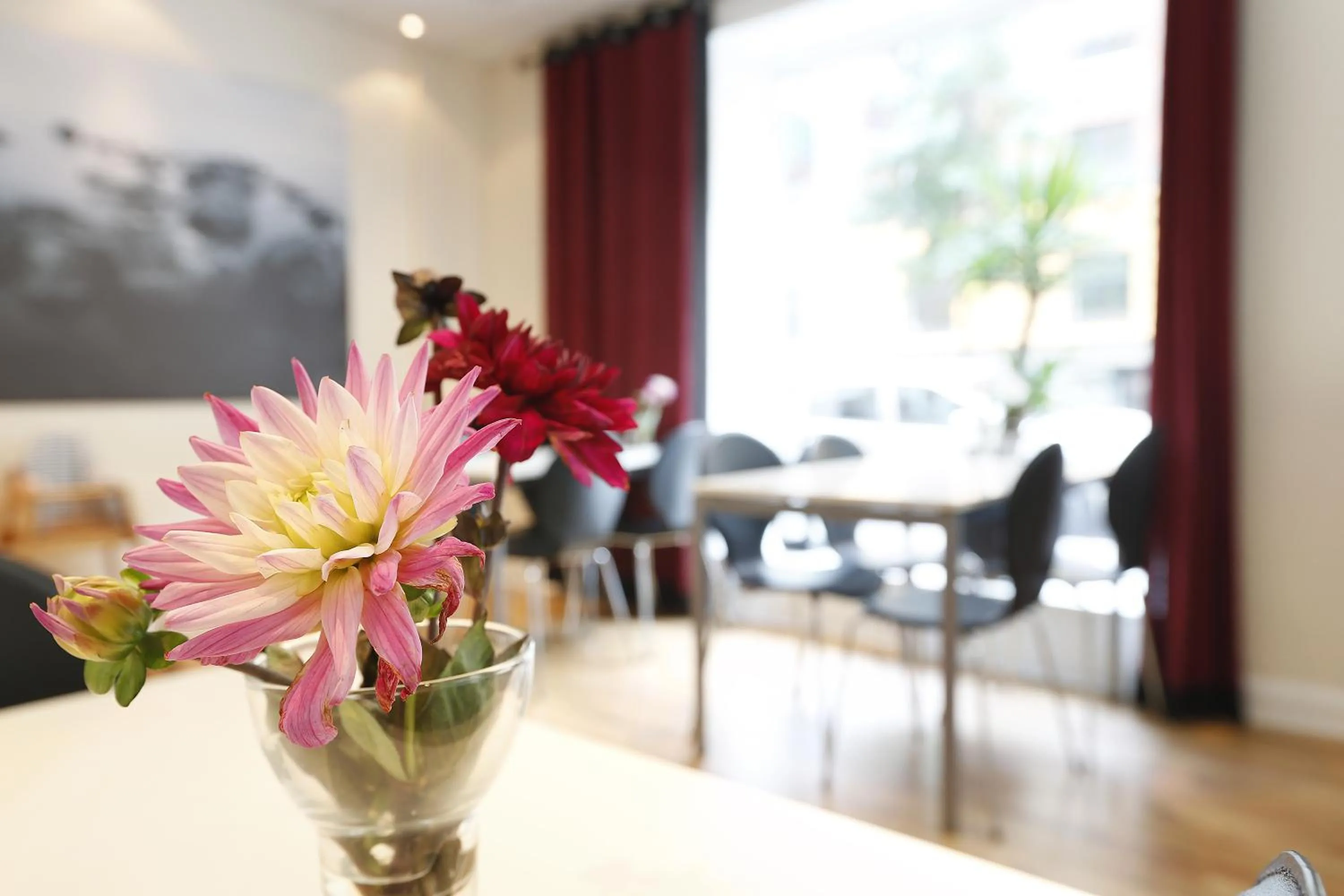 Day in Hotel Copenhagen Apartments