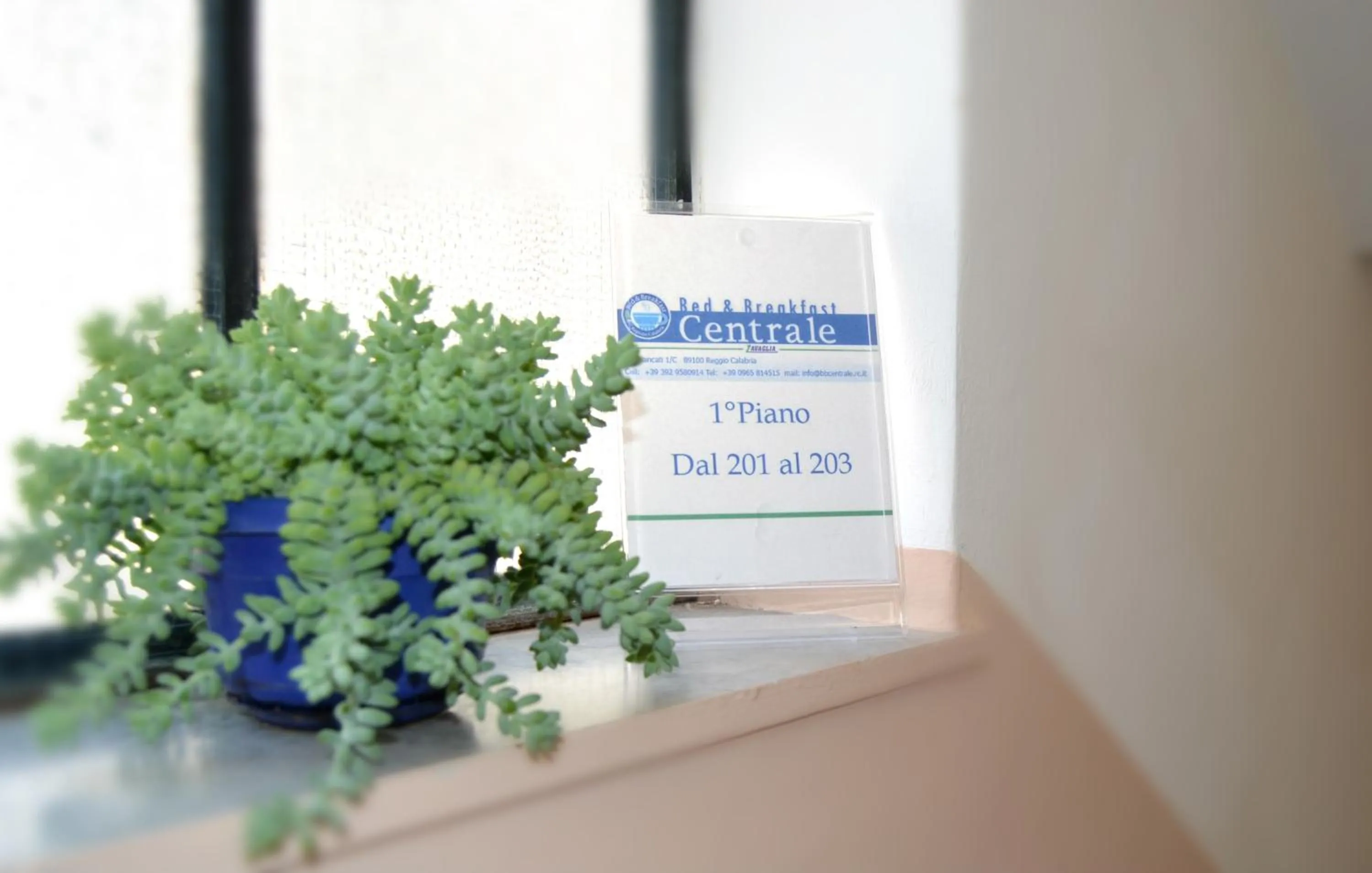 Communal lounge/ TV room in B&B Centrale Affittacamere