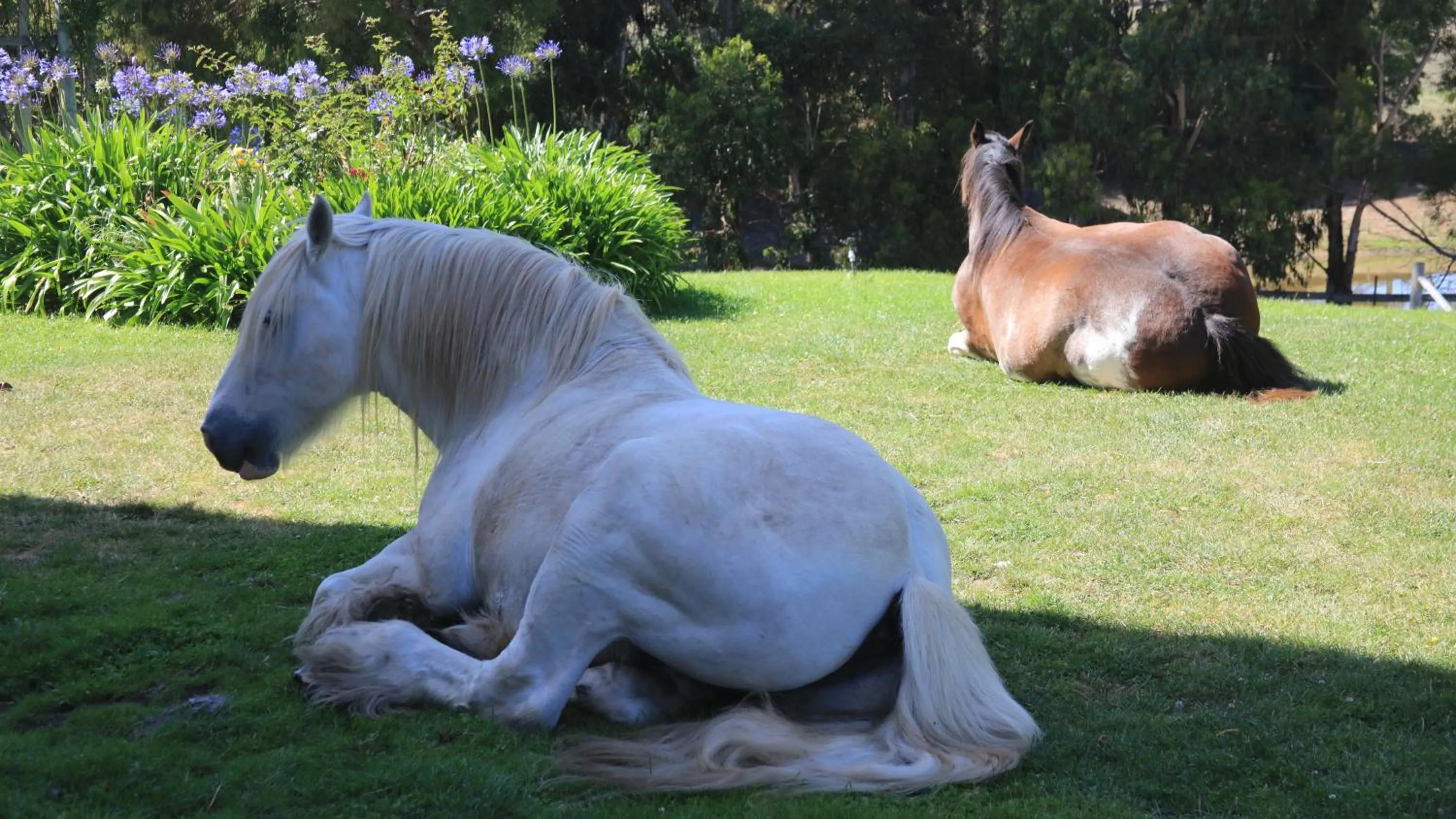 Hatchers Richmond Manor