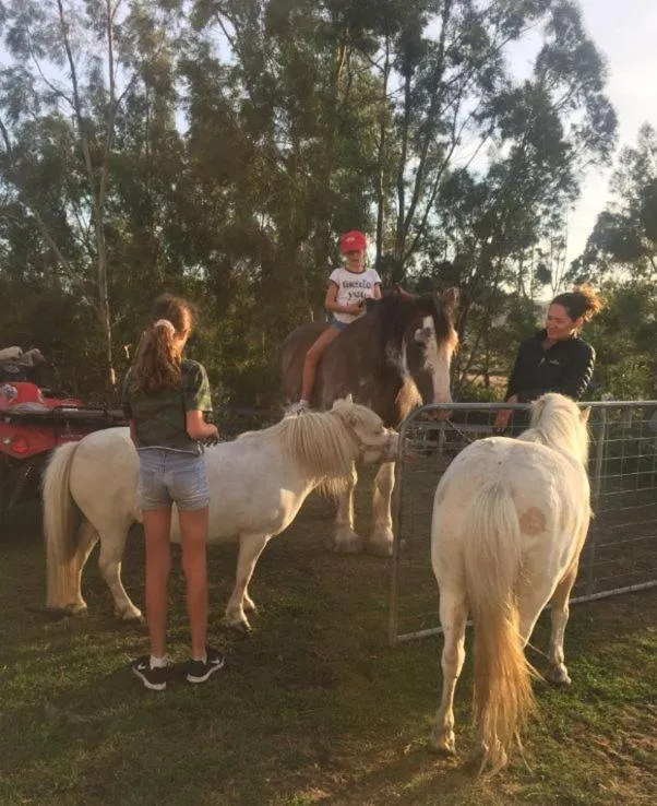 Animals in Hatchers Richmond Manor