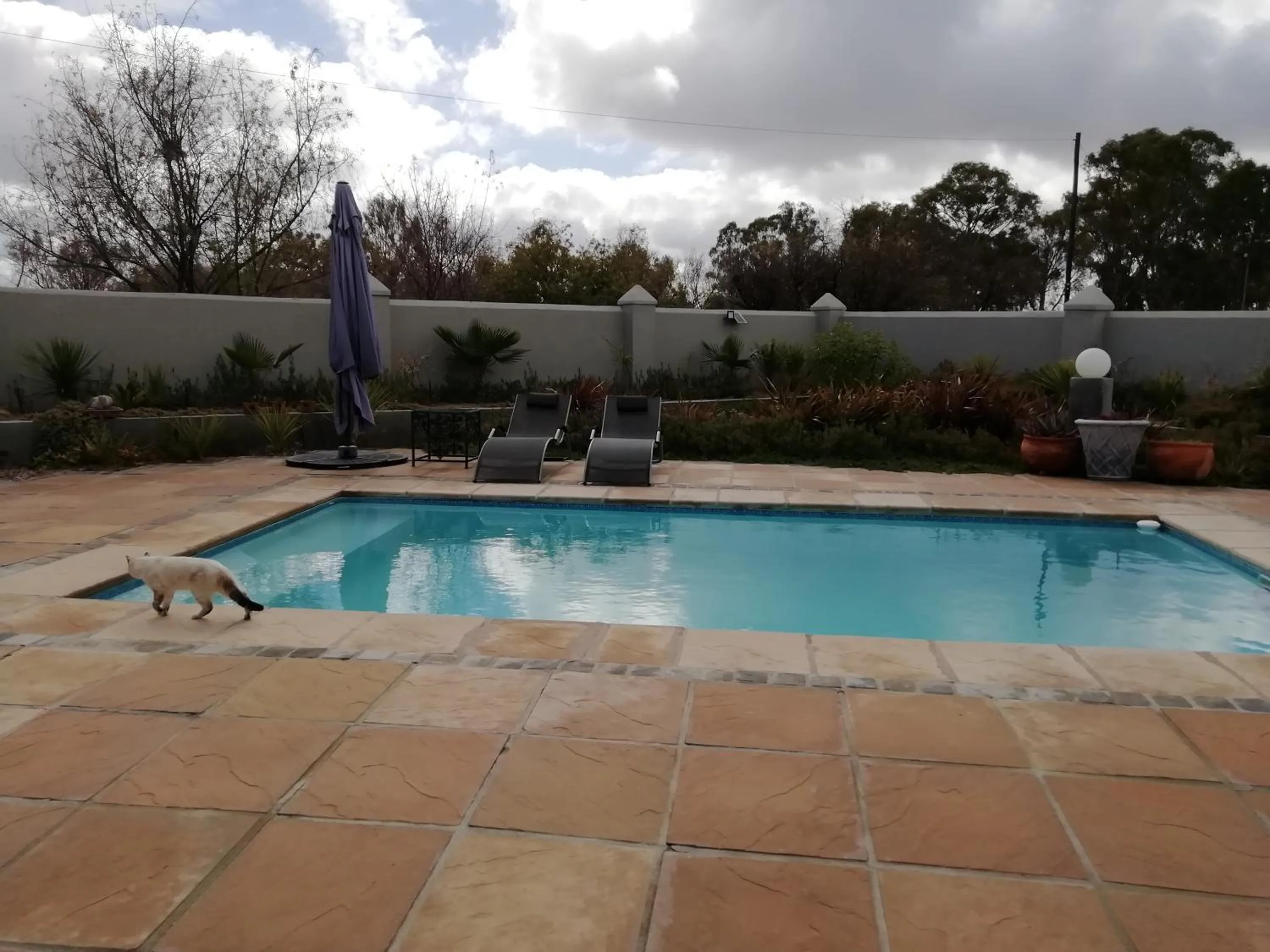 Garden in Linda se Dop