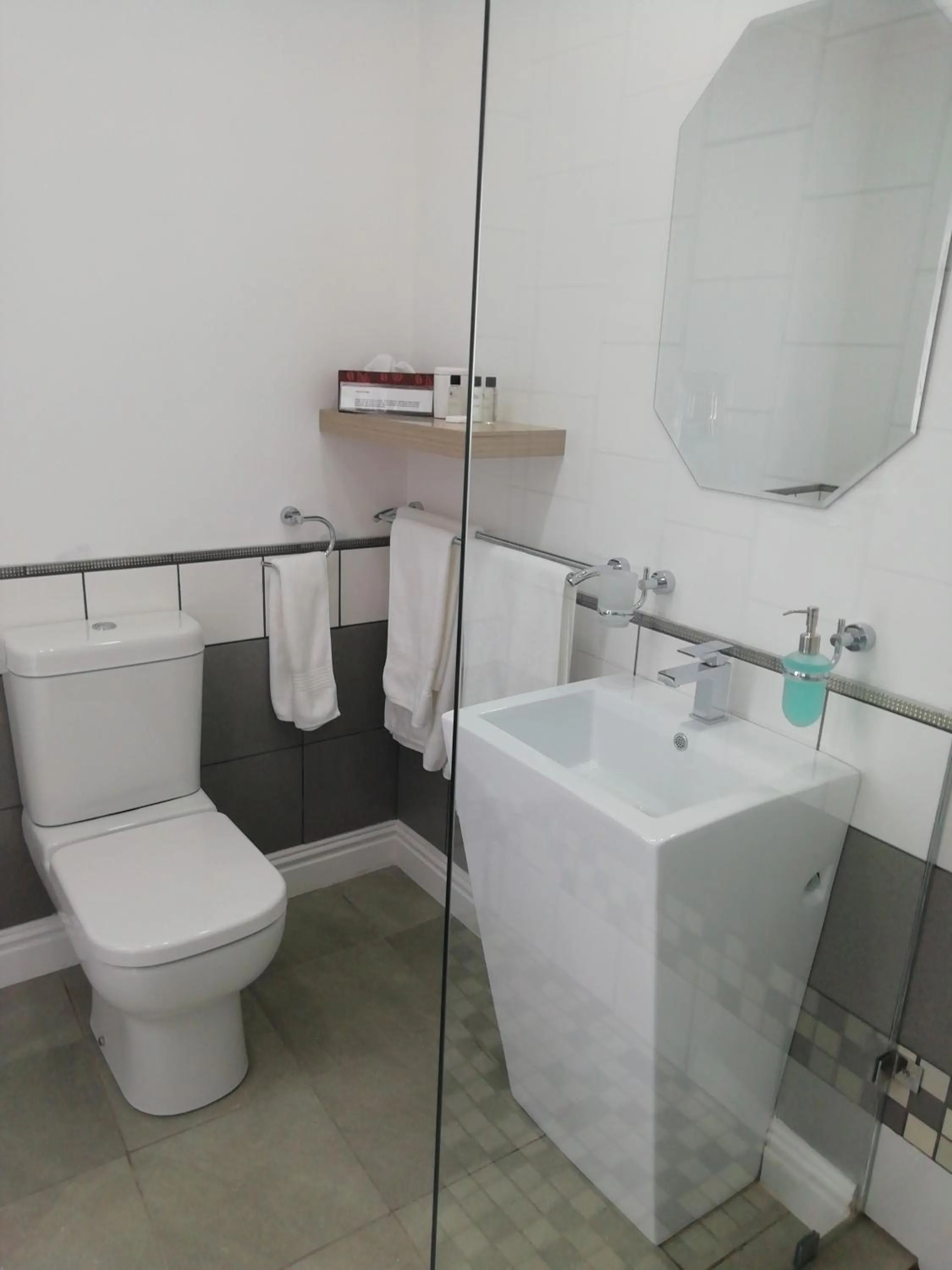 Toilet in Linda se Dop