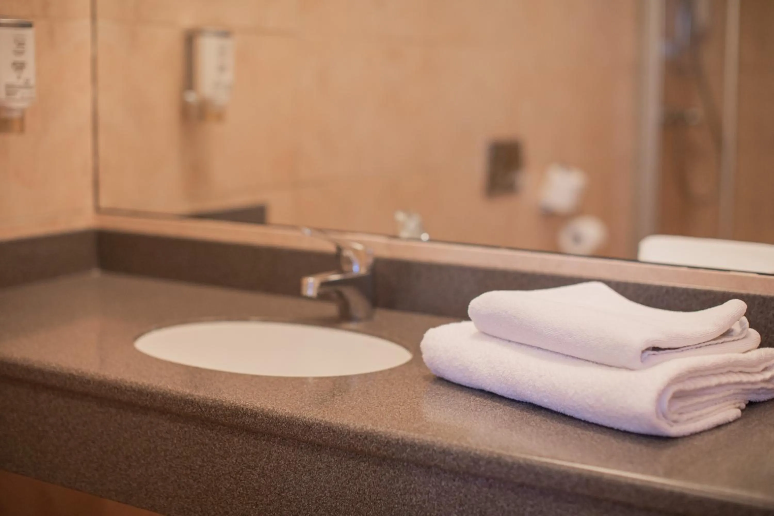 Bathroom in Pałac Bielawa