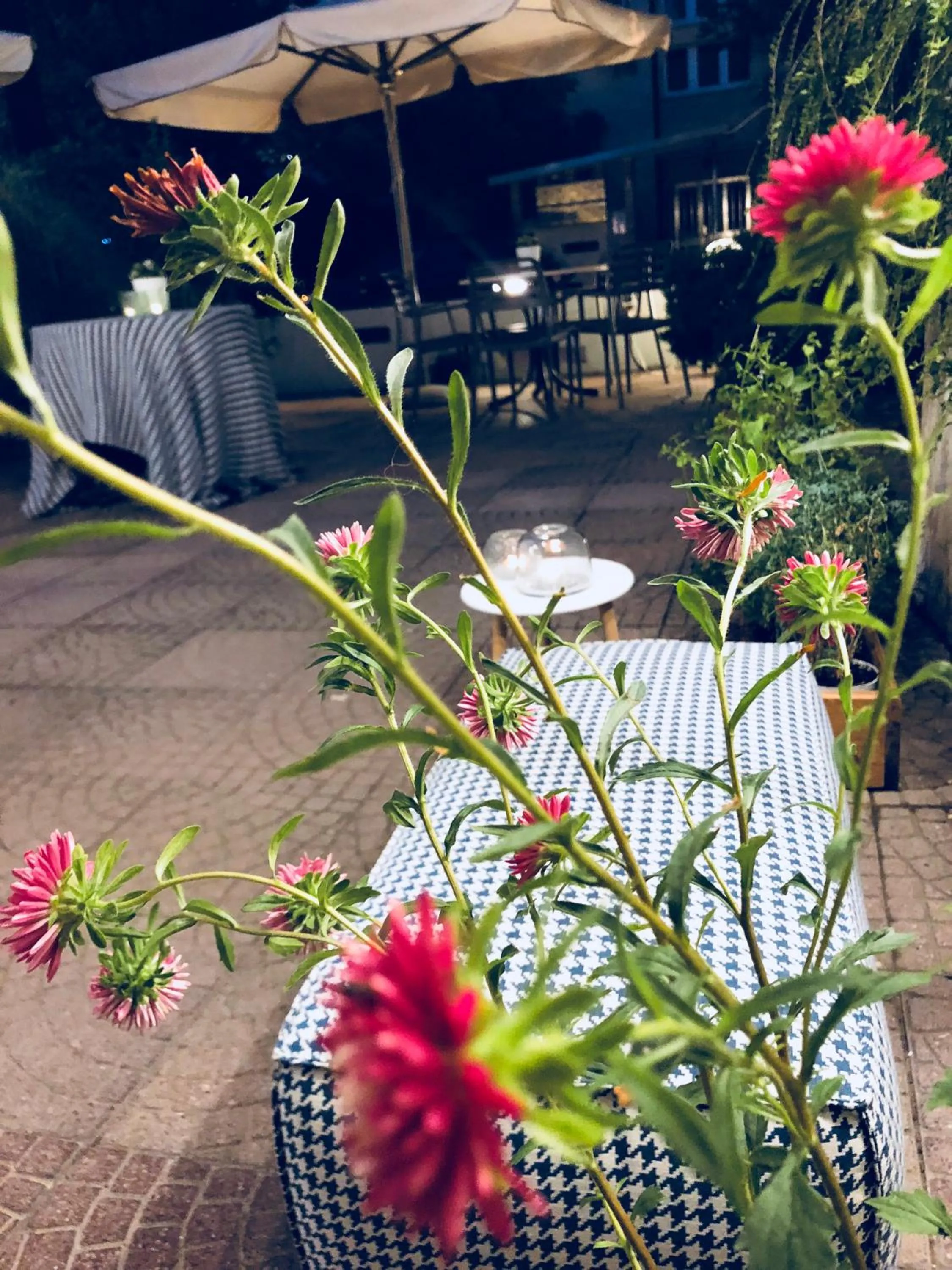 Patio in Hotel Aplo - Breakfast Experience