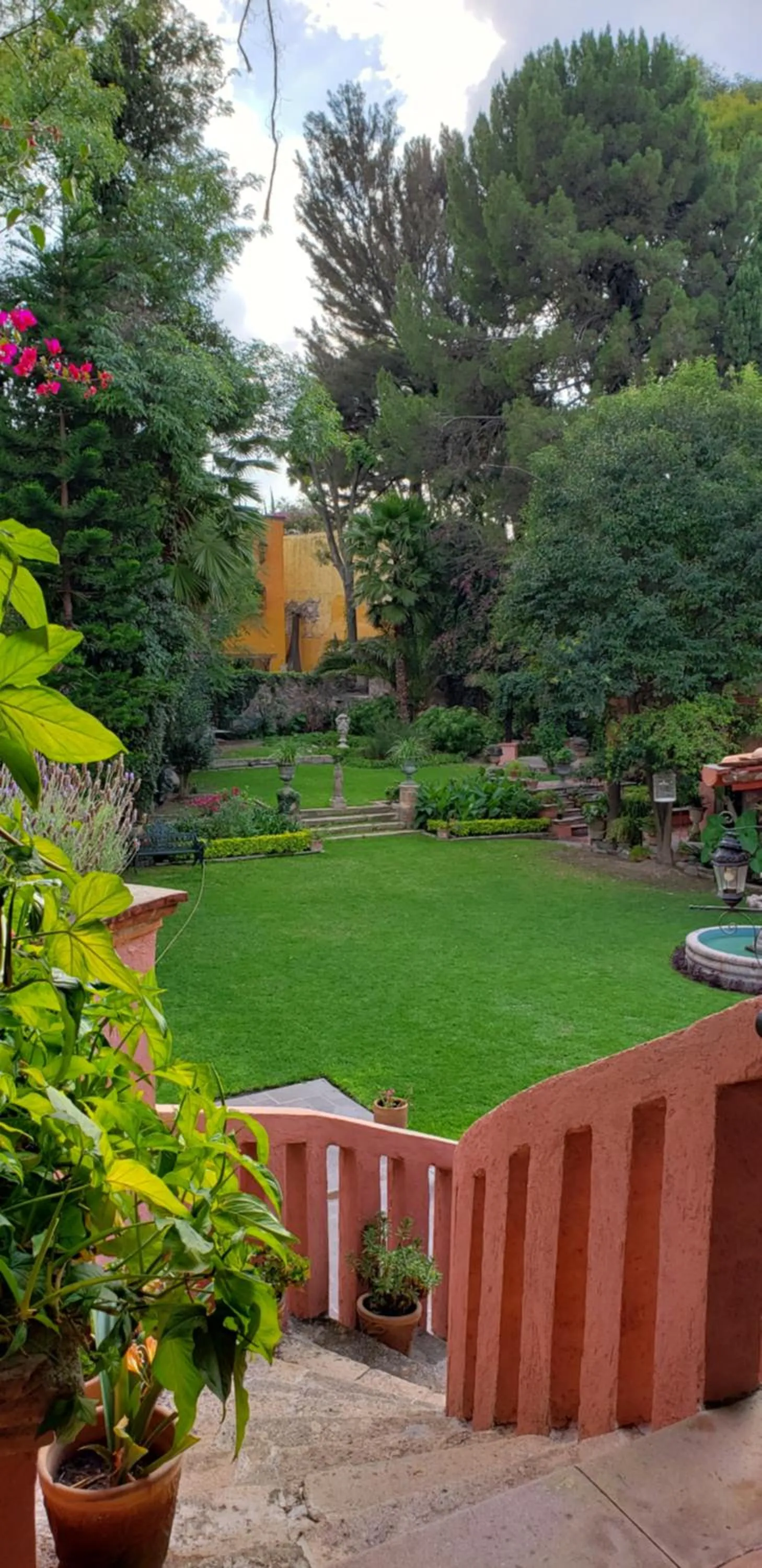 Garden view in Tres Fuentes Hotel Boutique