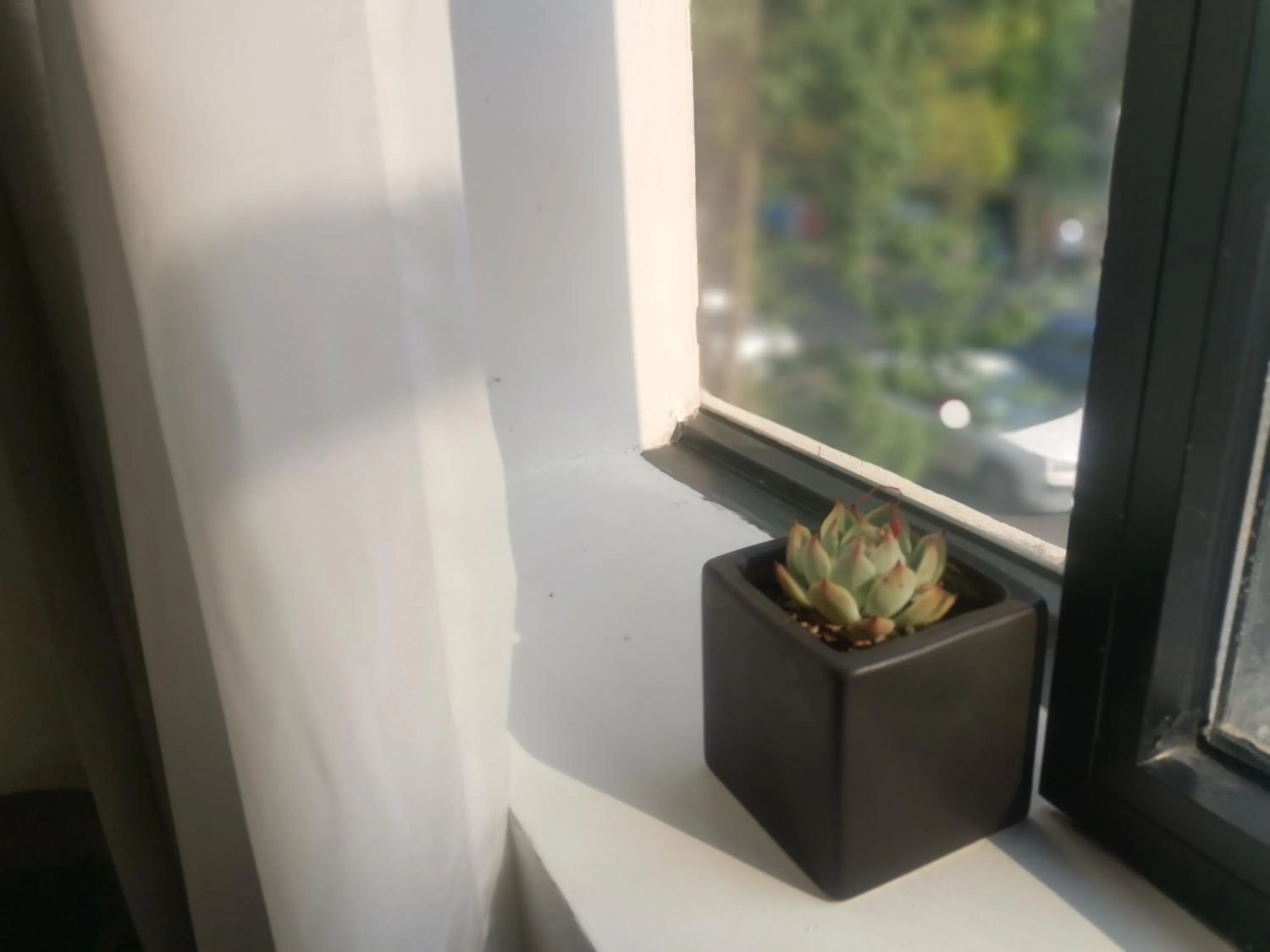 View (from property/room) in Moonlight Hotel