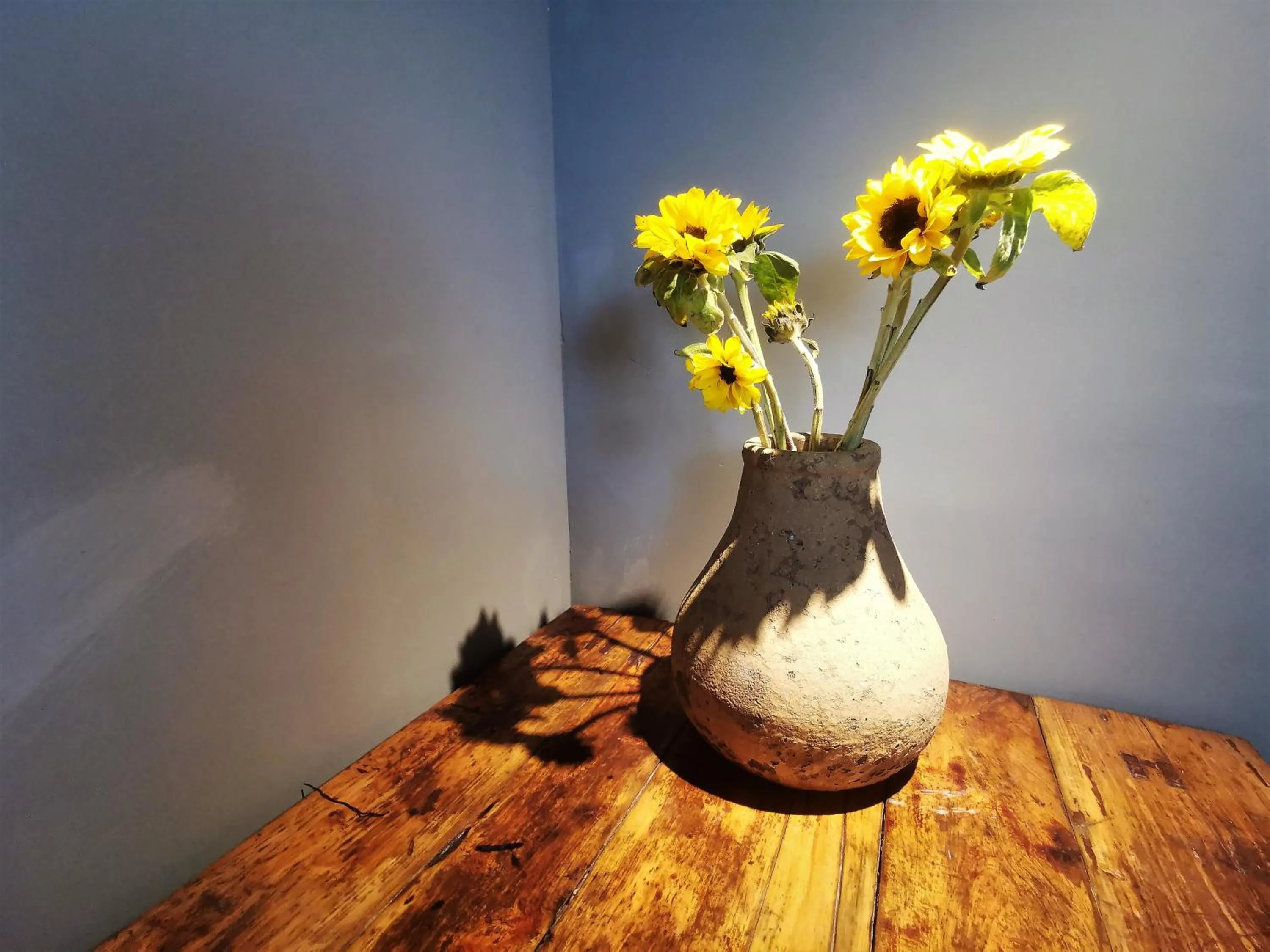 Decorative detail in Moonlight Hotel