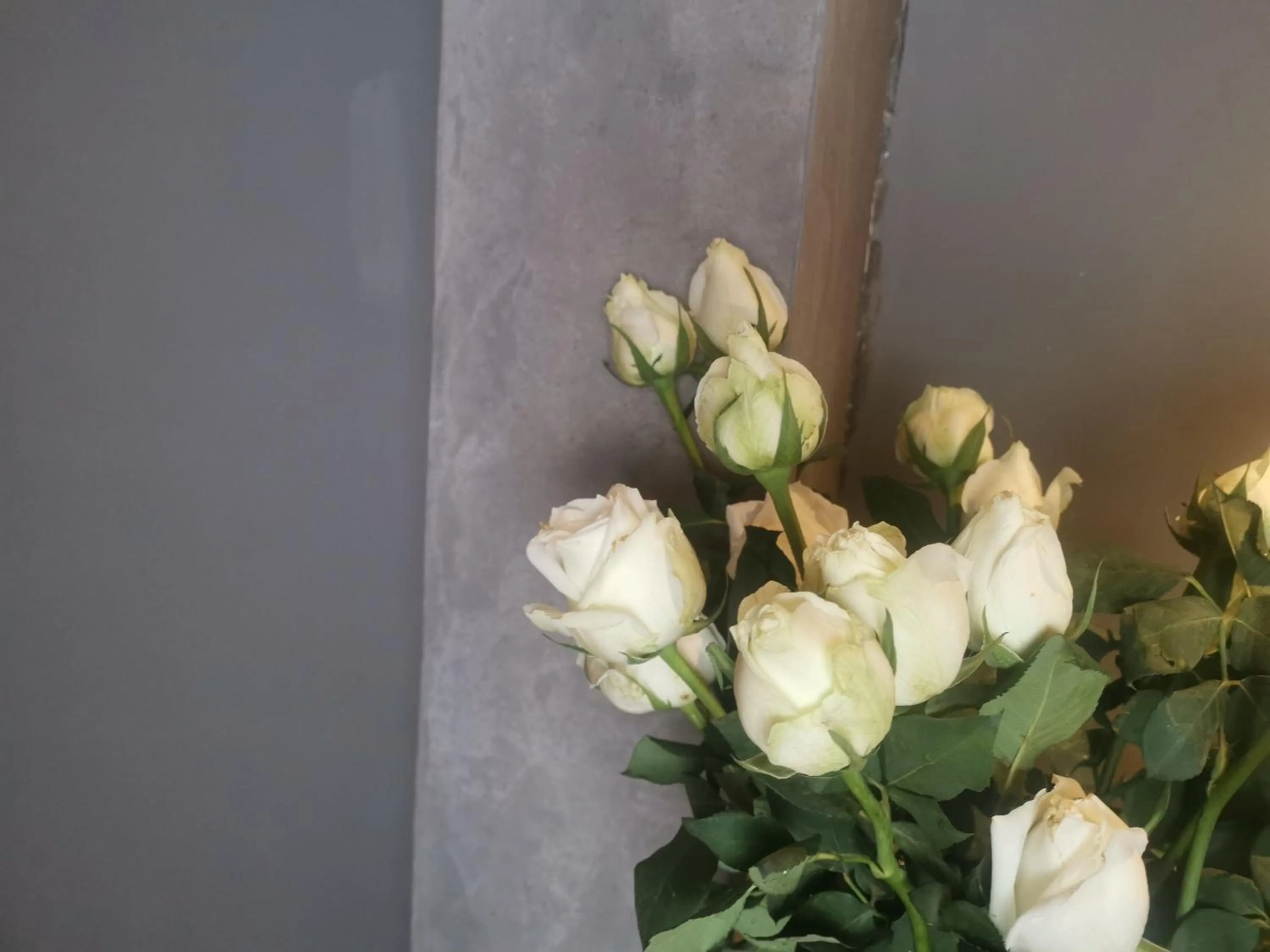 Property building in Moonlight Hotel