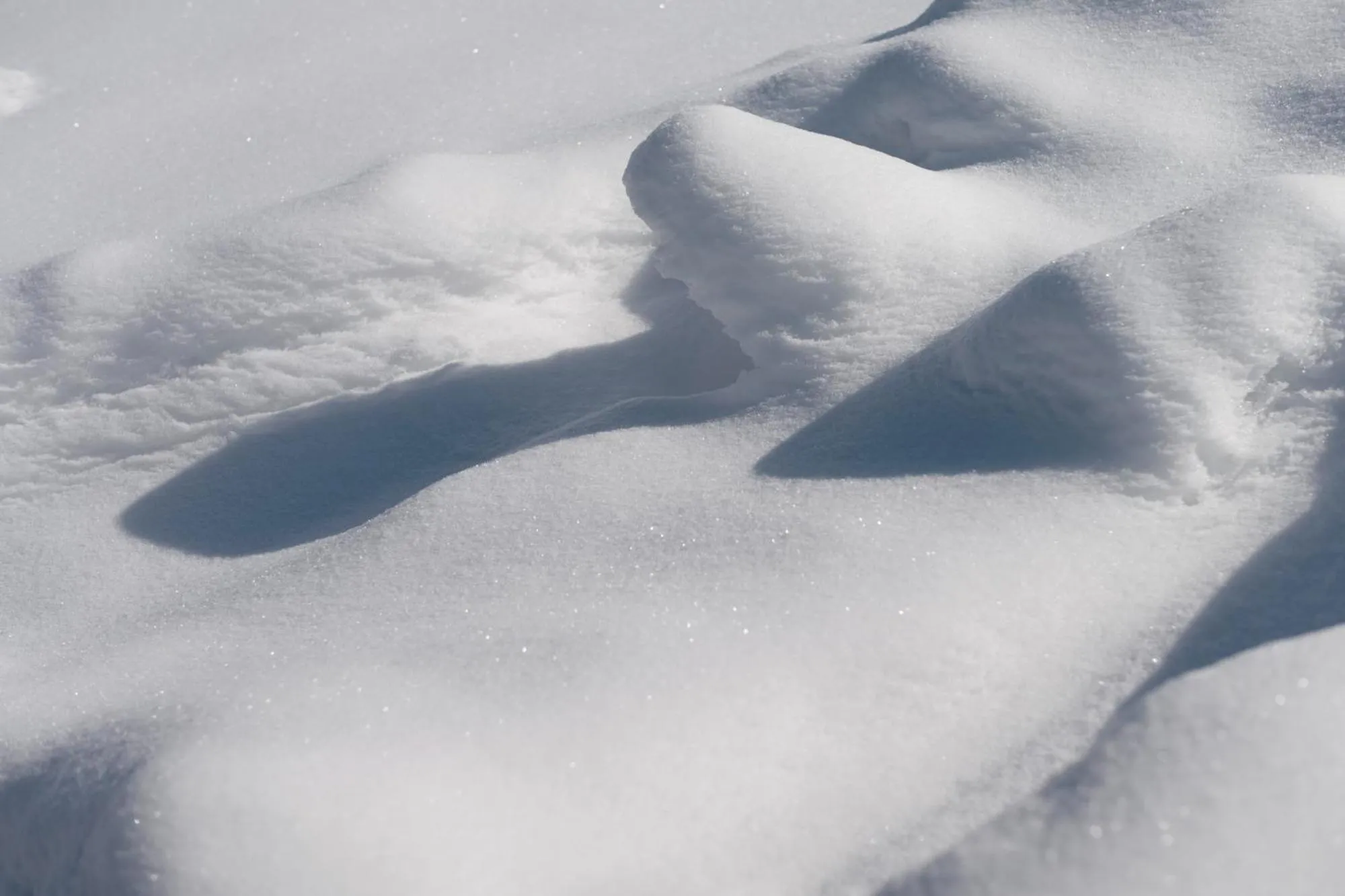 Natural landscape in Andaru Collection Niseko