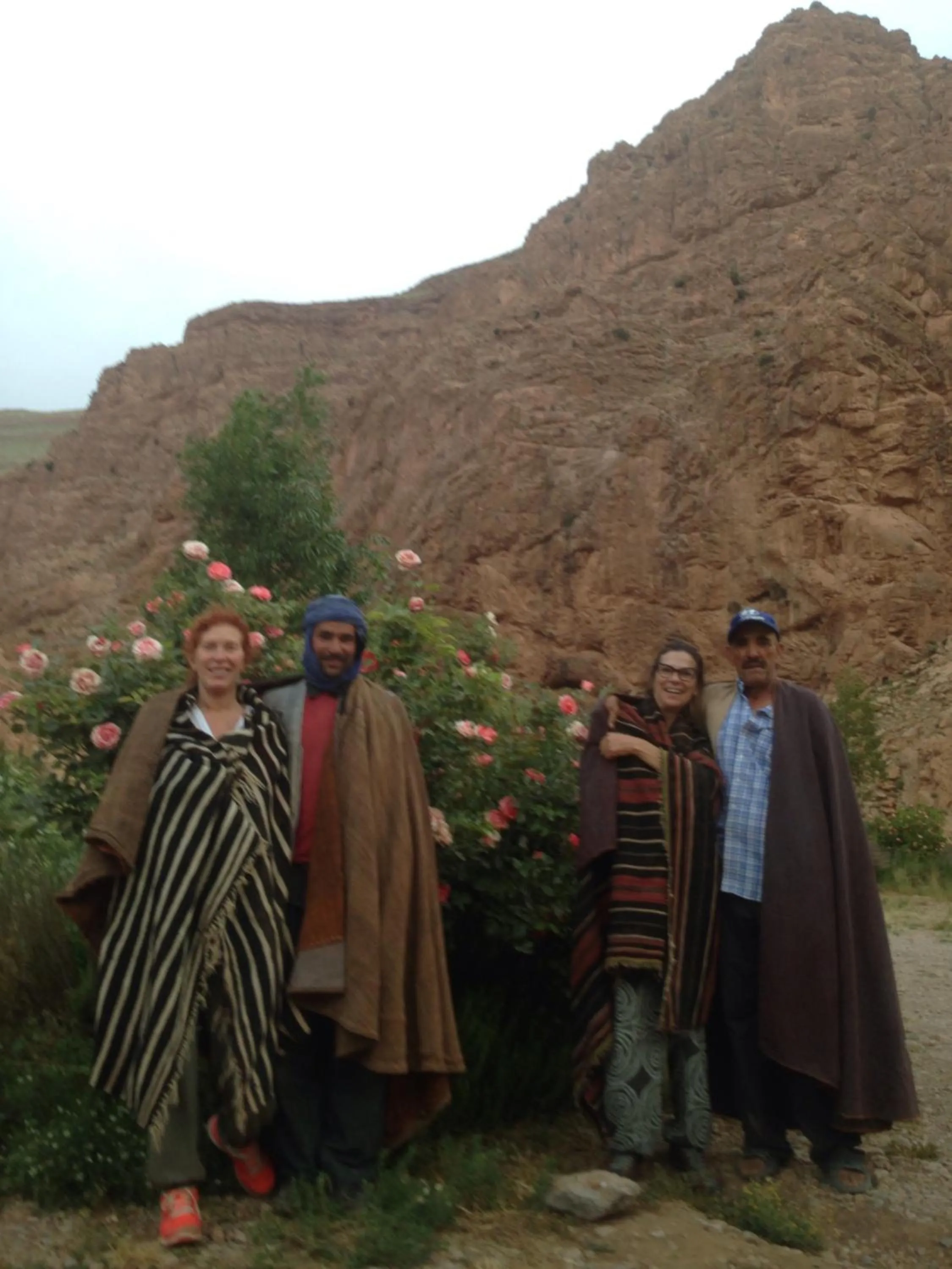 Garden in Auberge Le Festival Todra Gorge