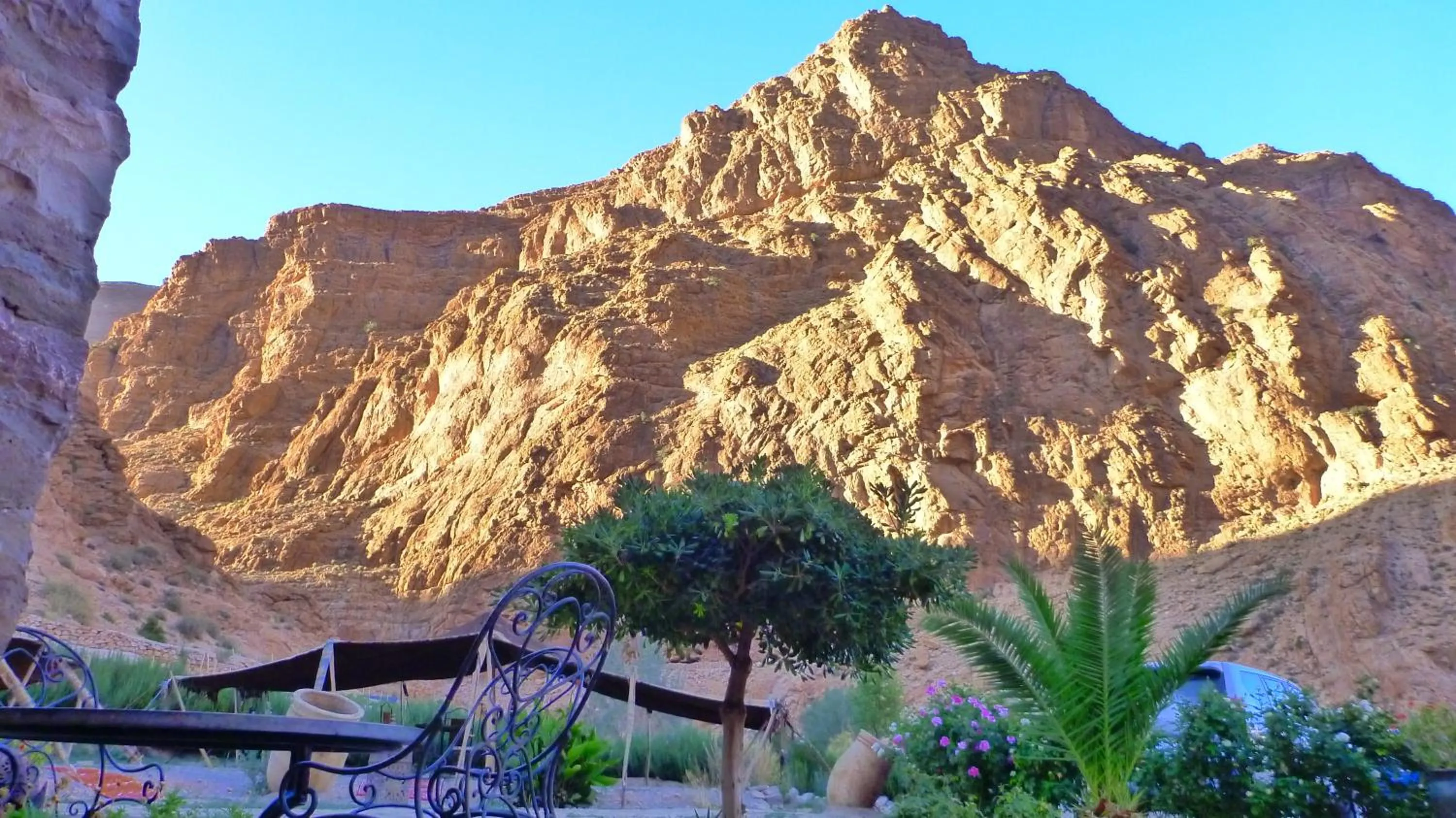 Garden in Auberge Le Festival Todra Gorge