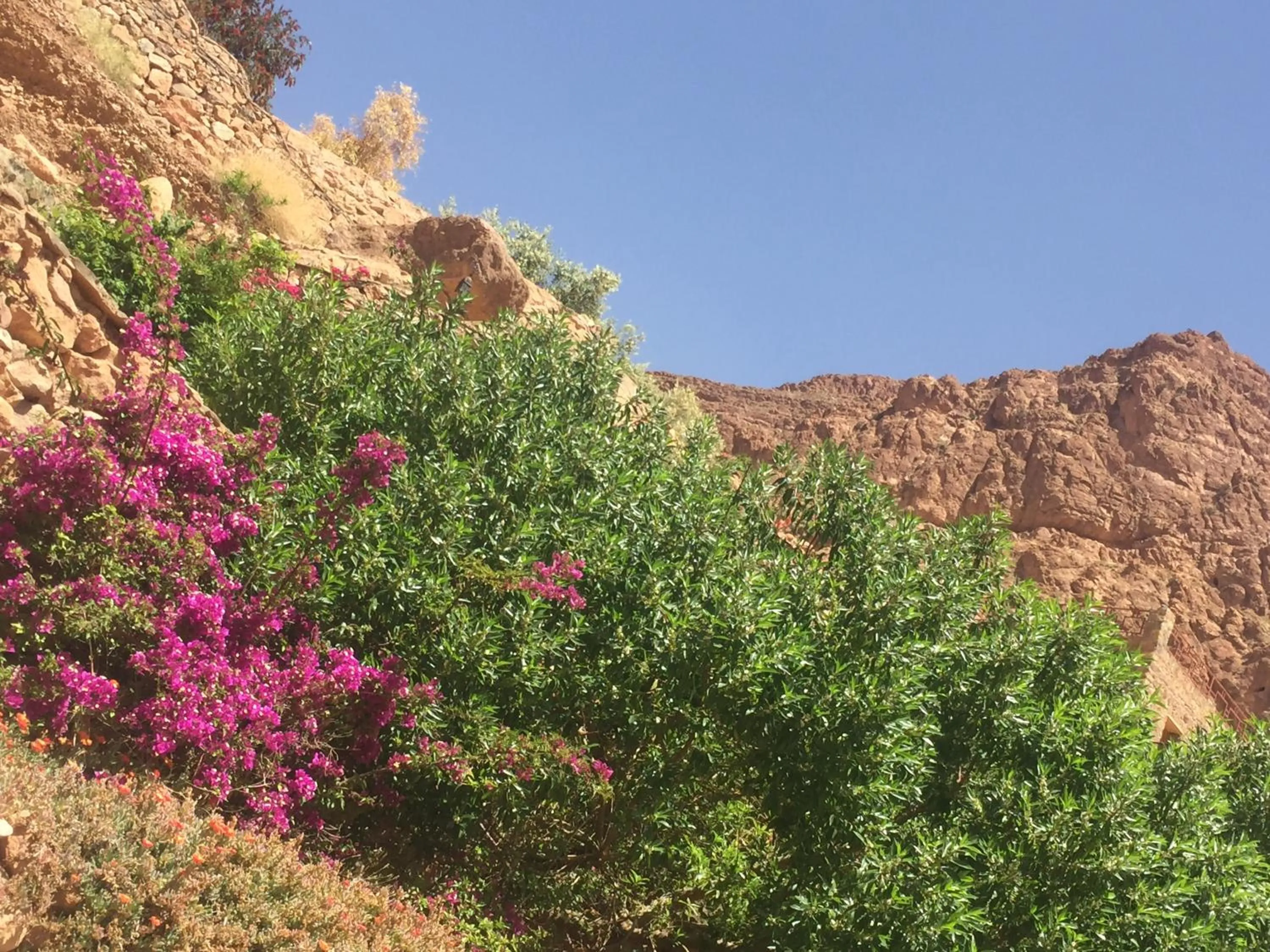 Auberge Le Festival Todra Gorge