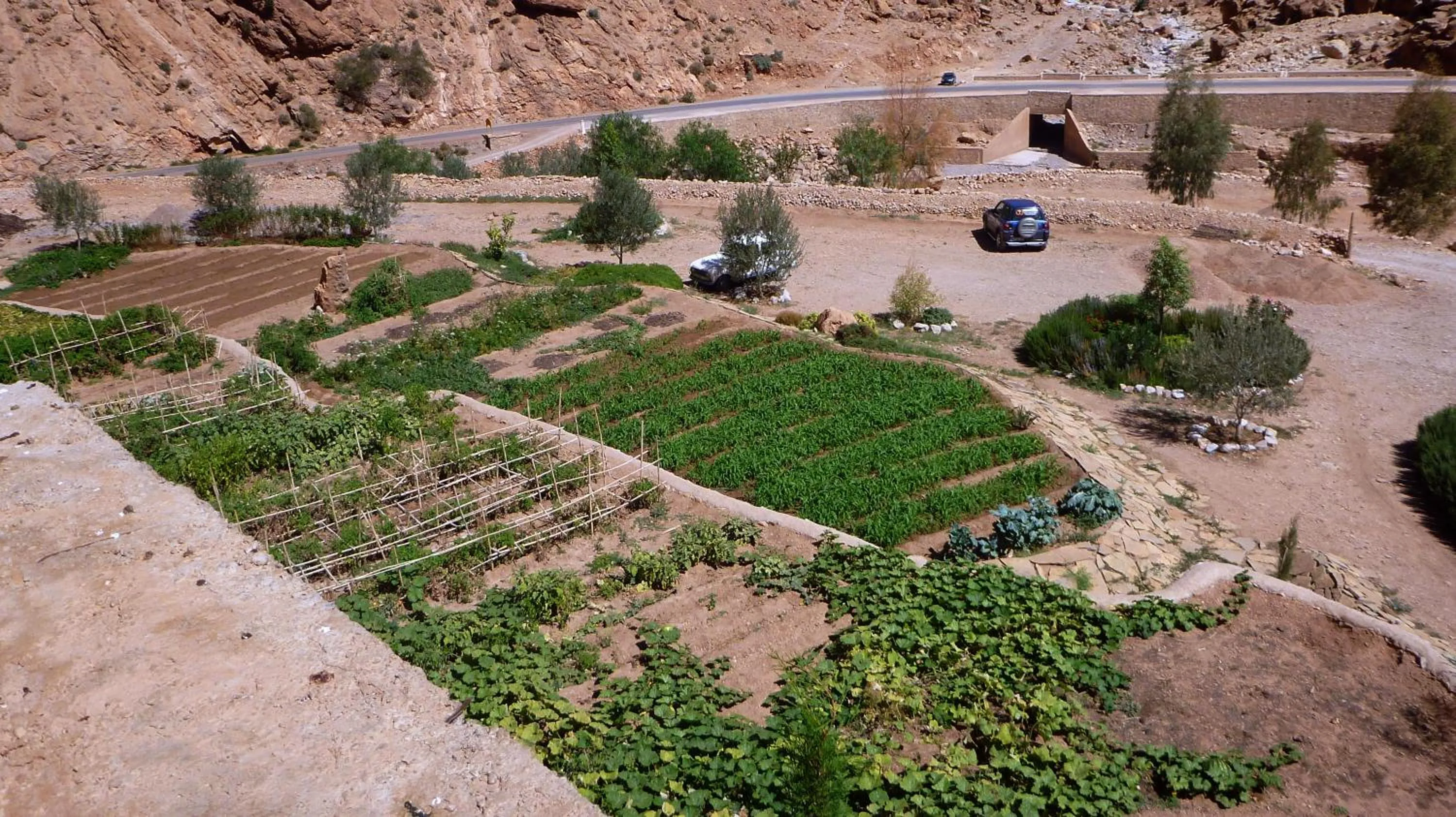 Garden in Auberge Le Festival Todra Gorge