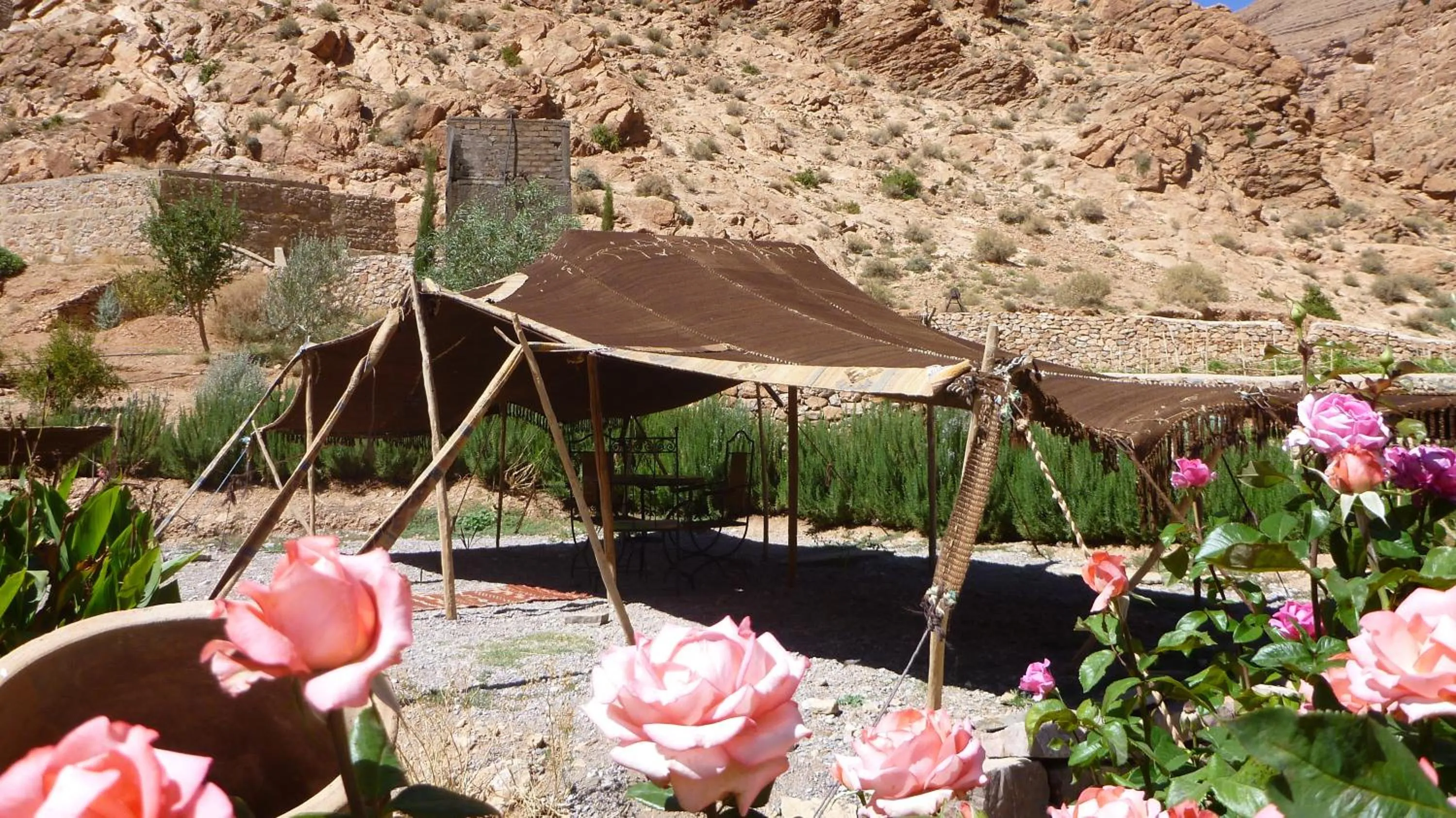 Garden in Auberge Le Festival Todra Gorge