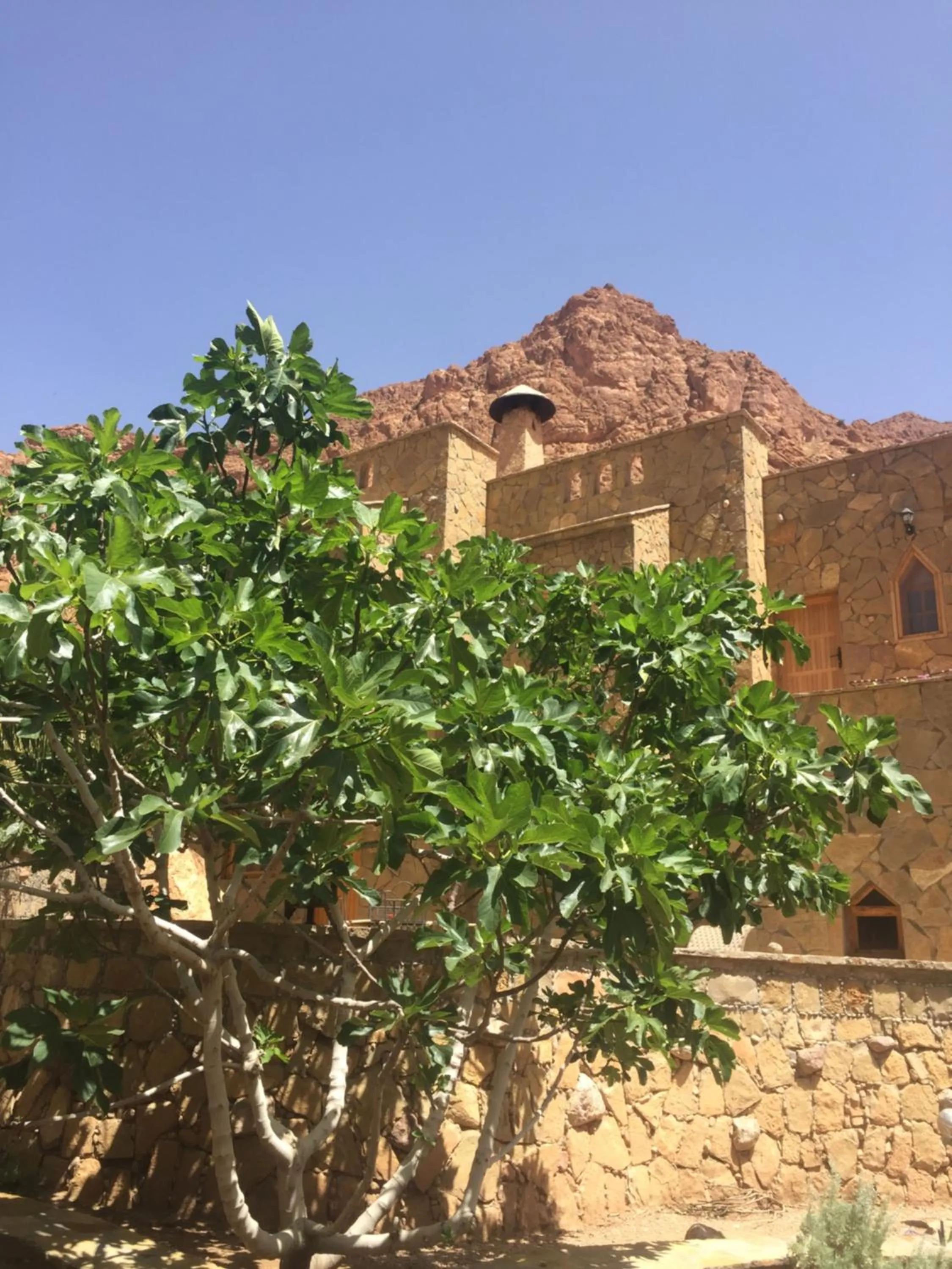 Auberge Le Festival Todra Gorge