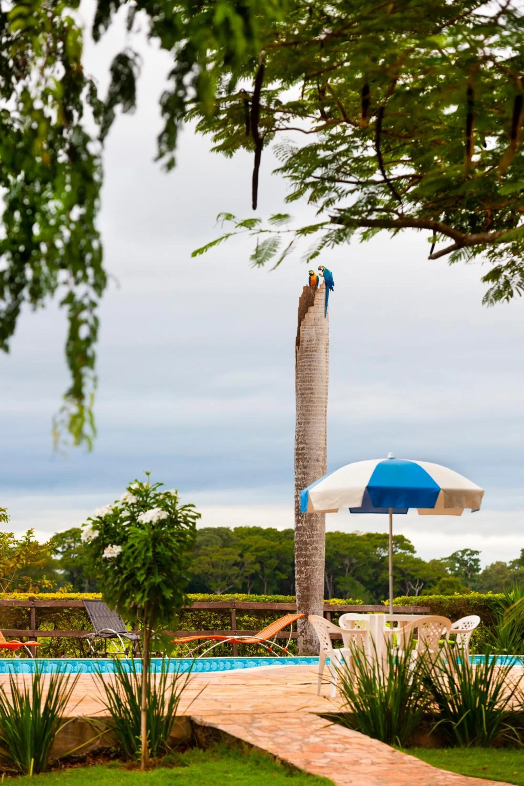 Swimming pool in Pousada Piuval
