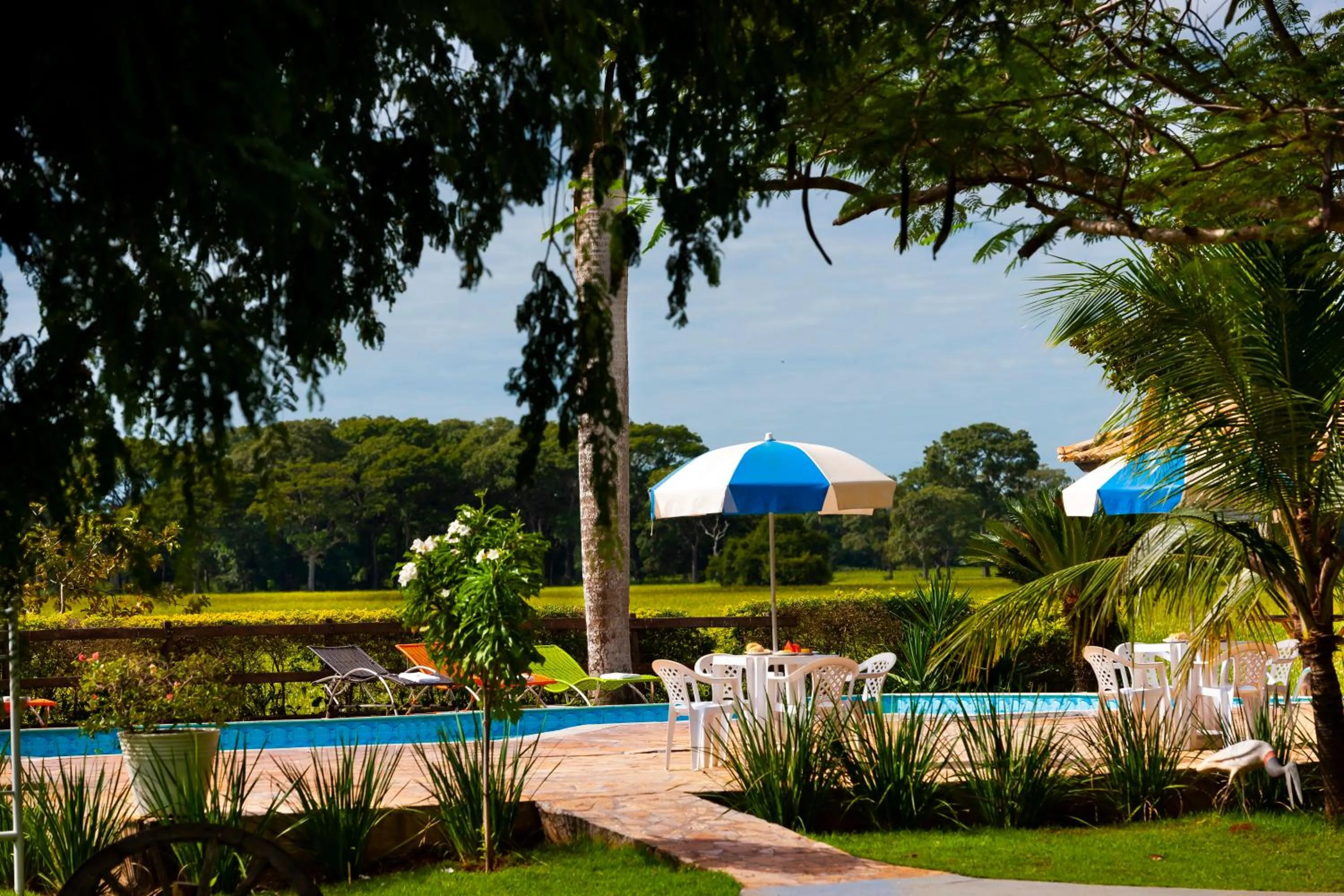 Garden in Pousada Piuval