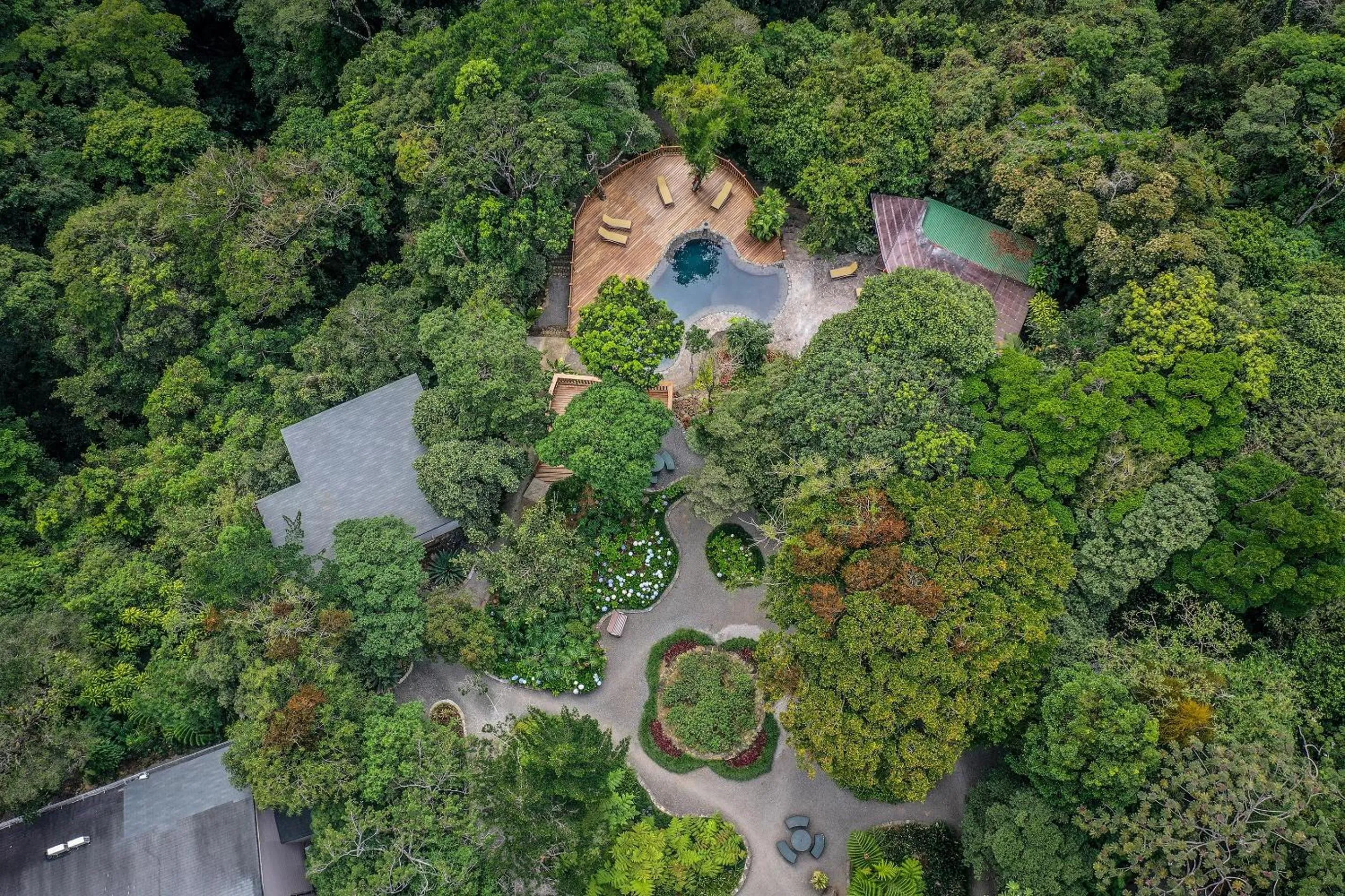 Bird's eye view in Monteverde Lodge