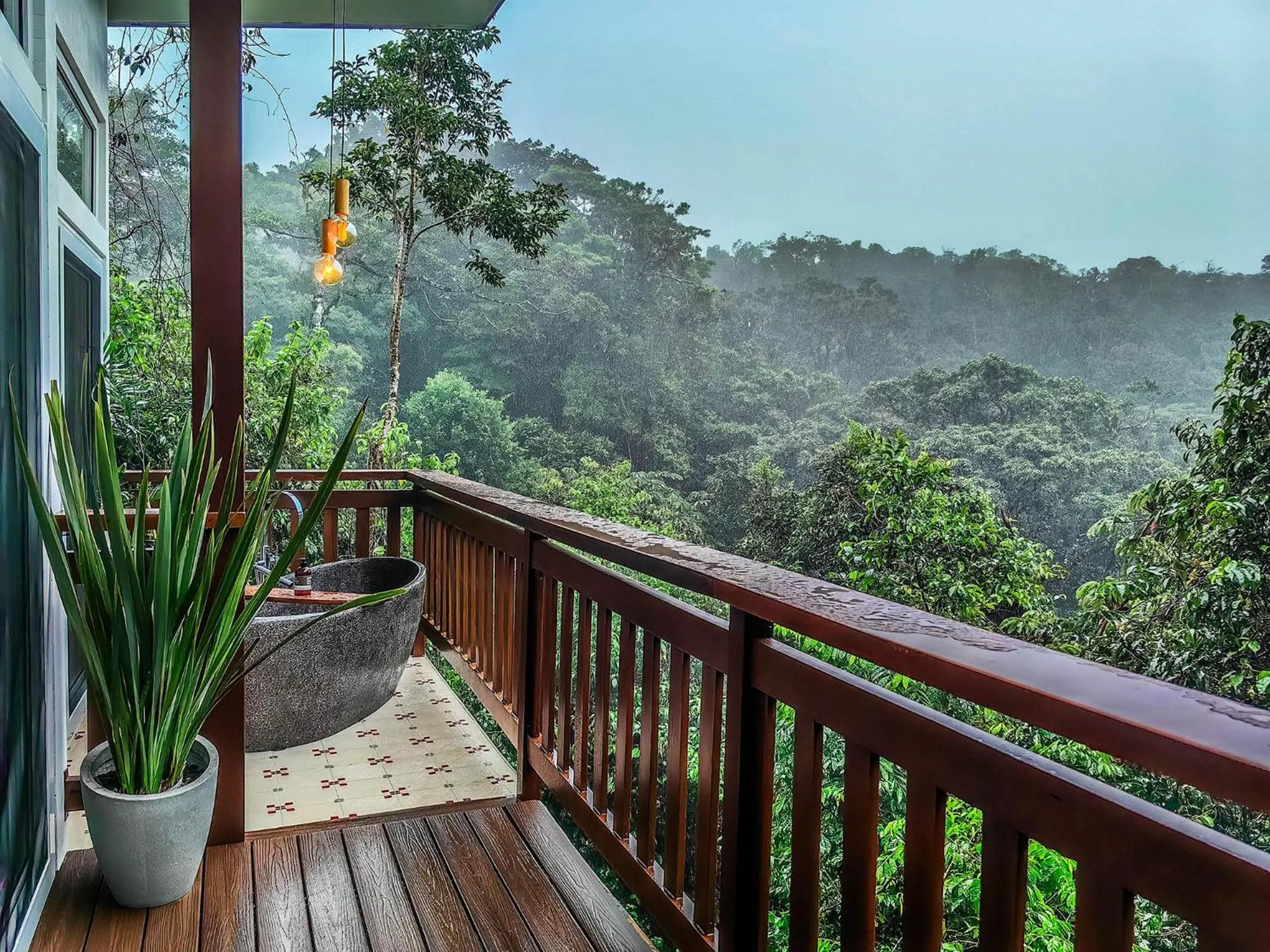 Natural landscape in Monteverde Lodge