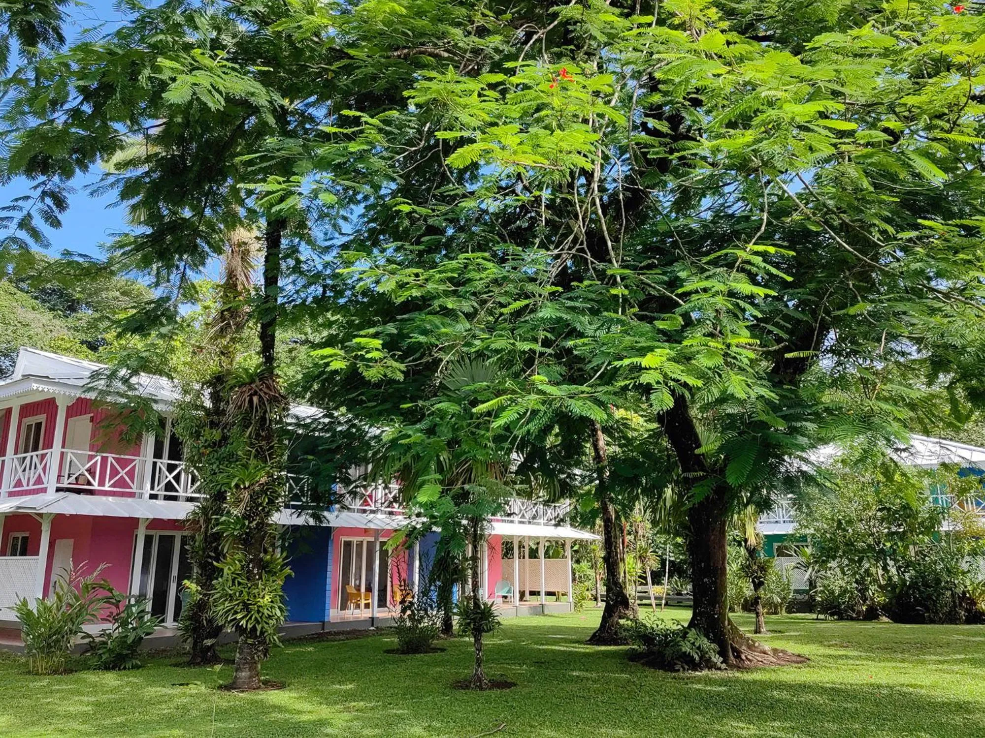 Natural landscape in Tortuga Lodge