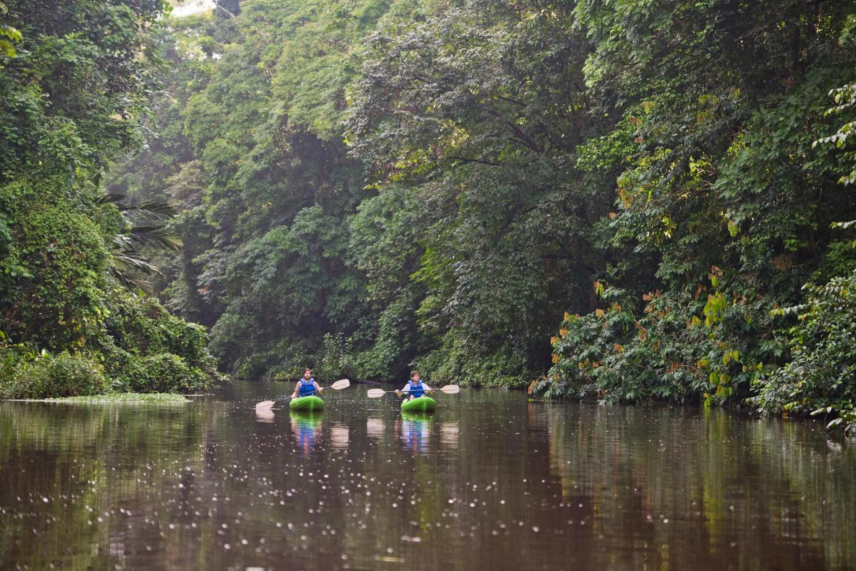 Natural landscape in Tortuga Lodge
