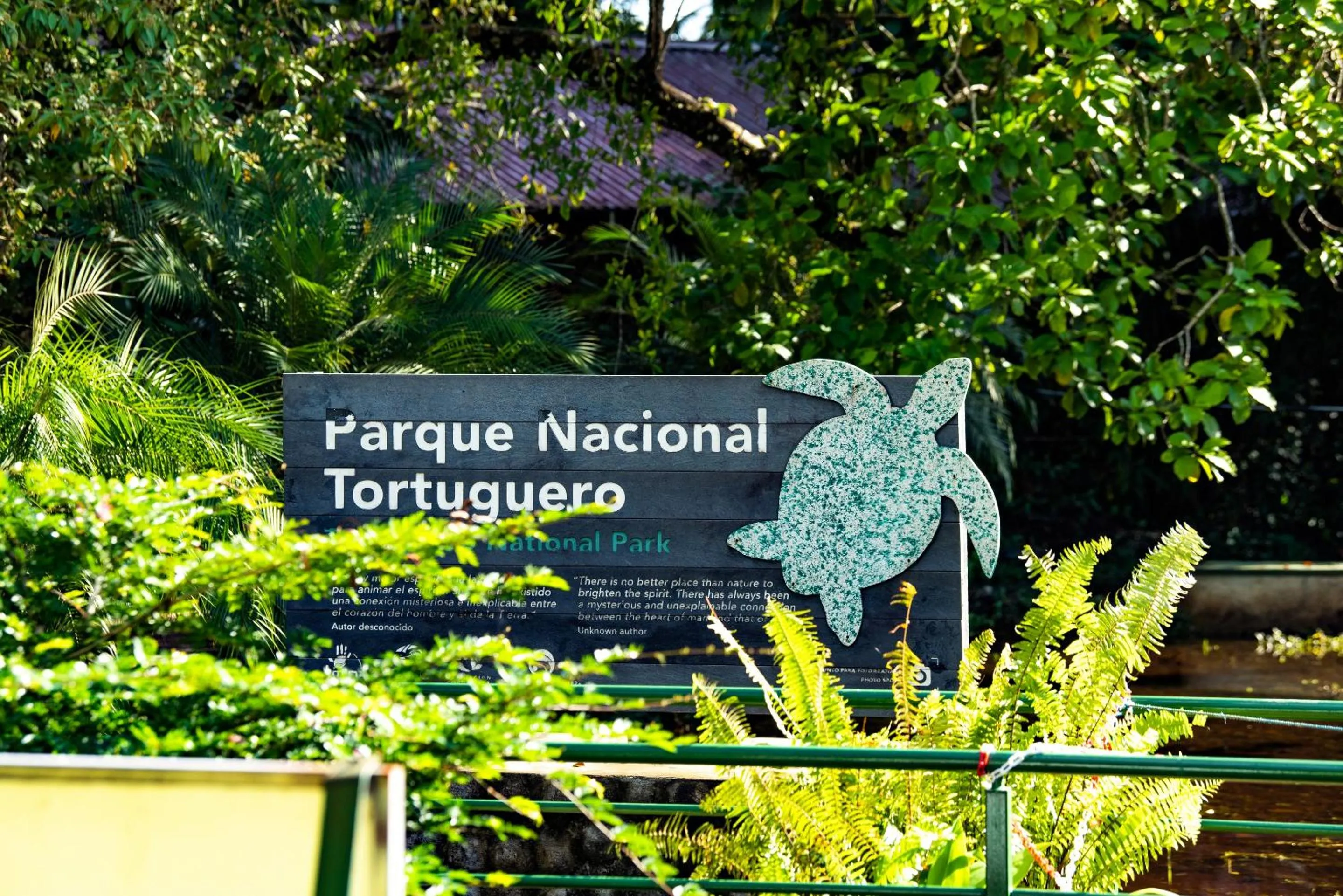 Nearby landmark in Tortuga Lodge