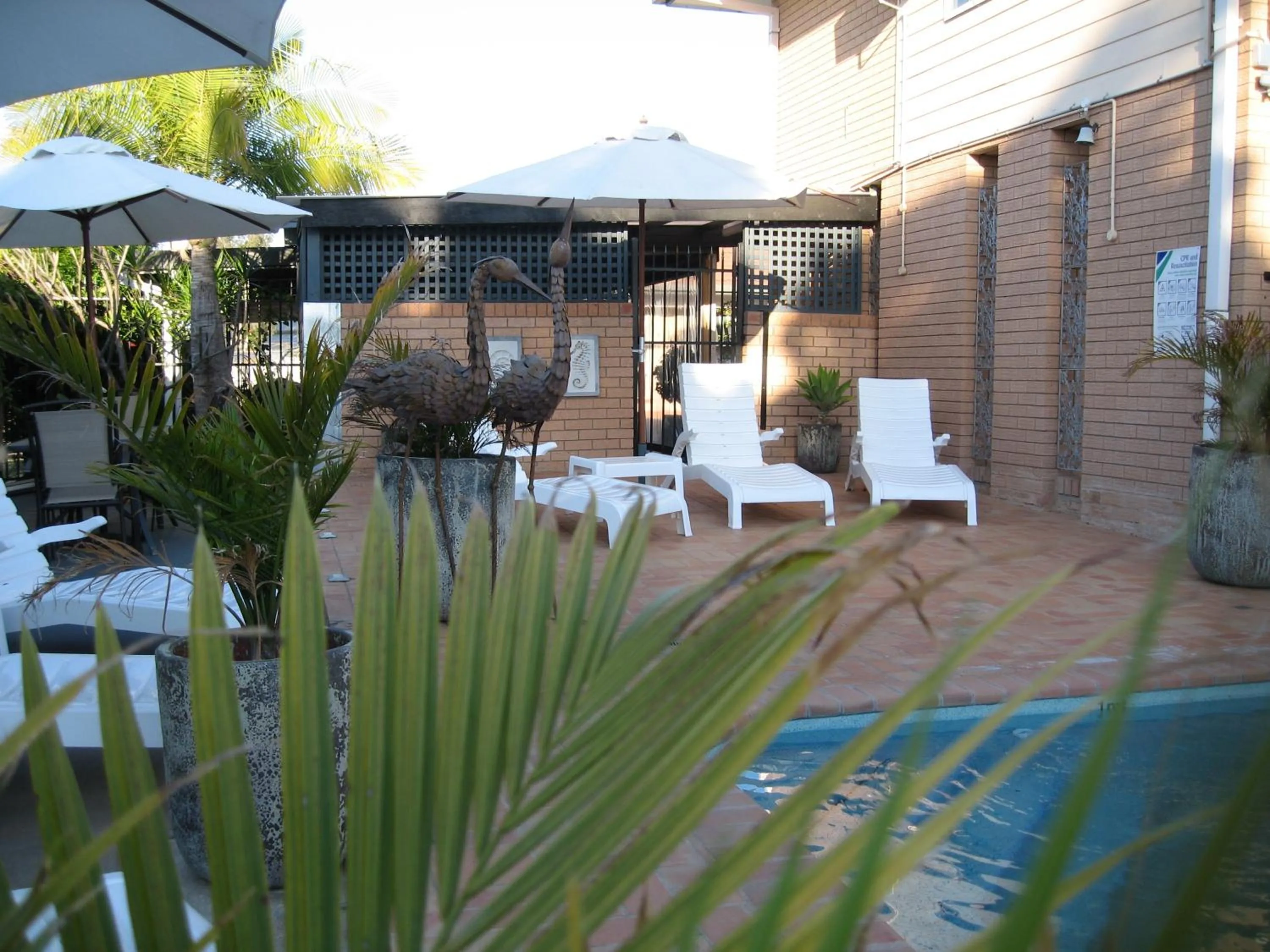 Swimming pool in Golden Harvest Motor Inn Moree